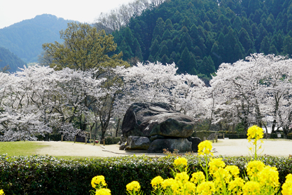 明日香村