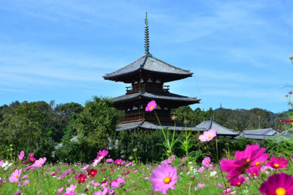 斑鳩町