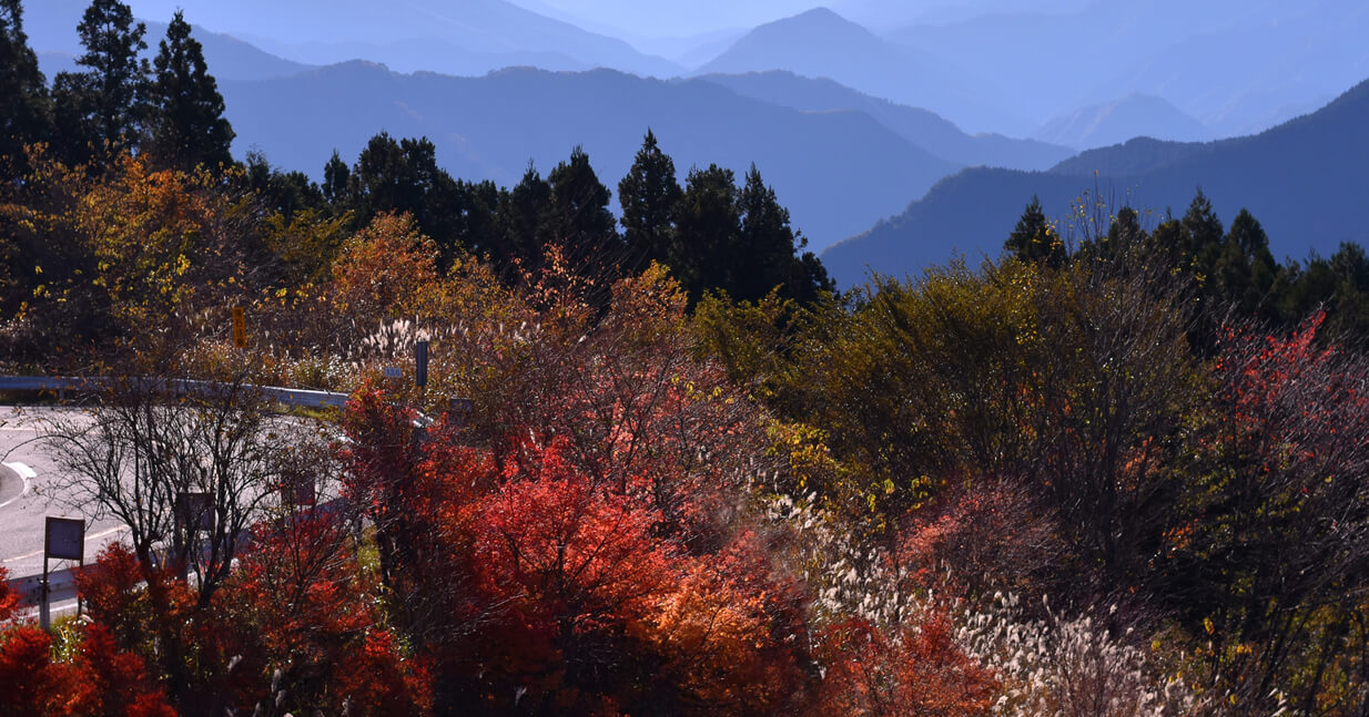 紀伊山地