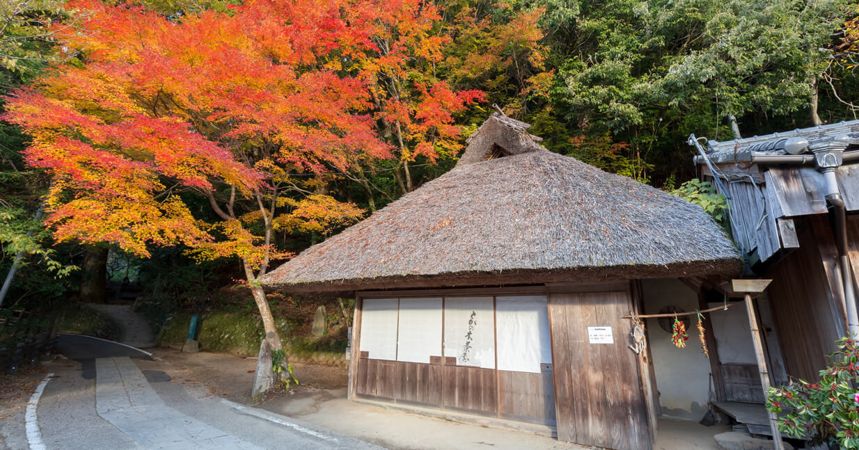 熊野古道とがの木茶屋