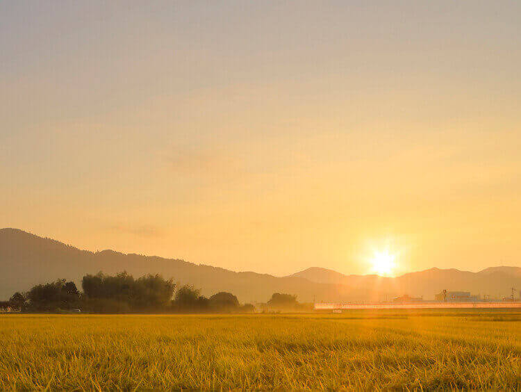 歴史街道へようこそ