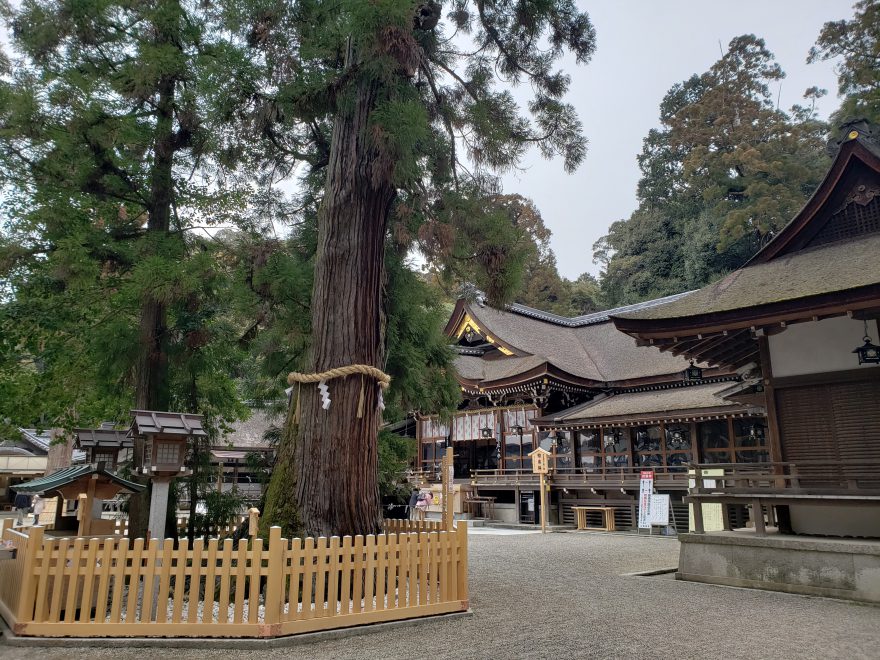 （B日程）続・日本の信仰のふるさと 桜井まち巡り～日本最古の神社へ～