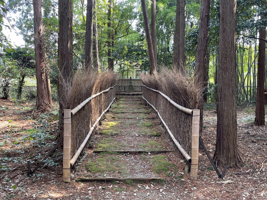 京街道を行く 第ニ回　小野の里～伏見編（A日程）