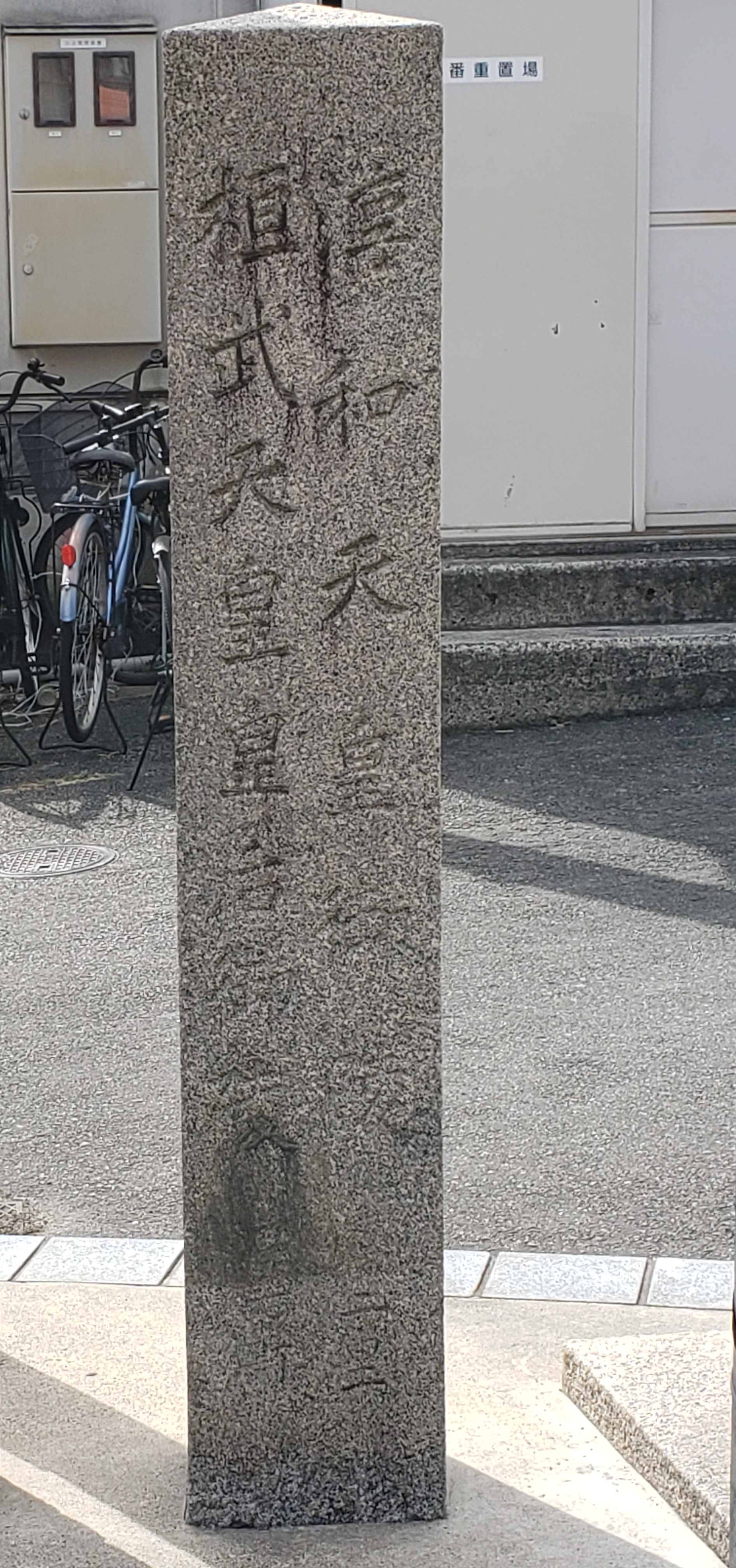 全体
