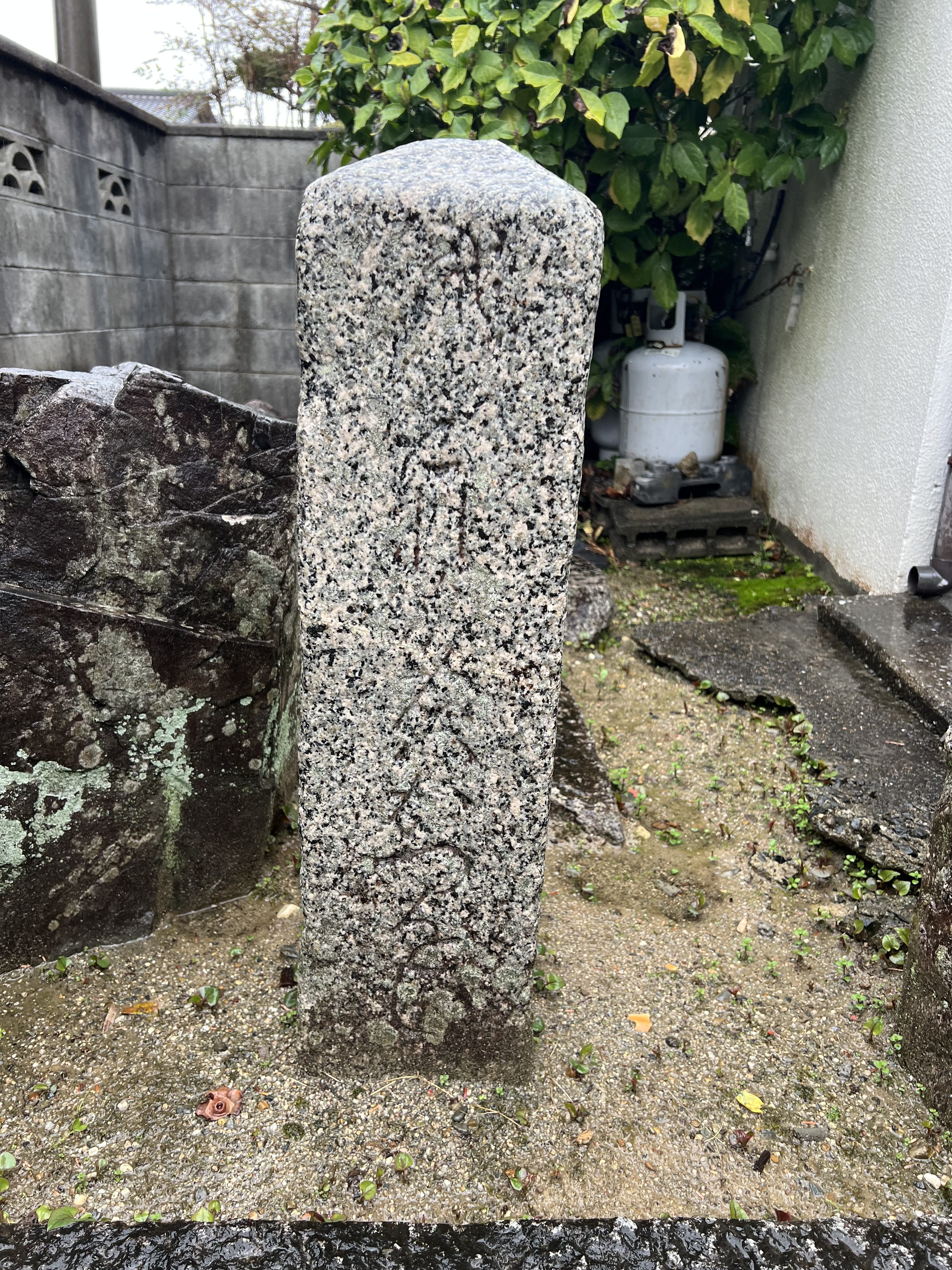 正面