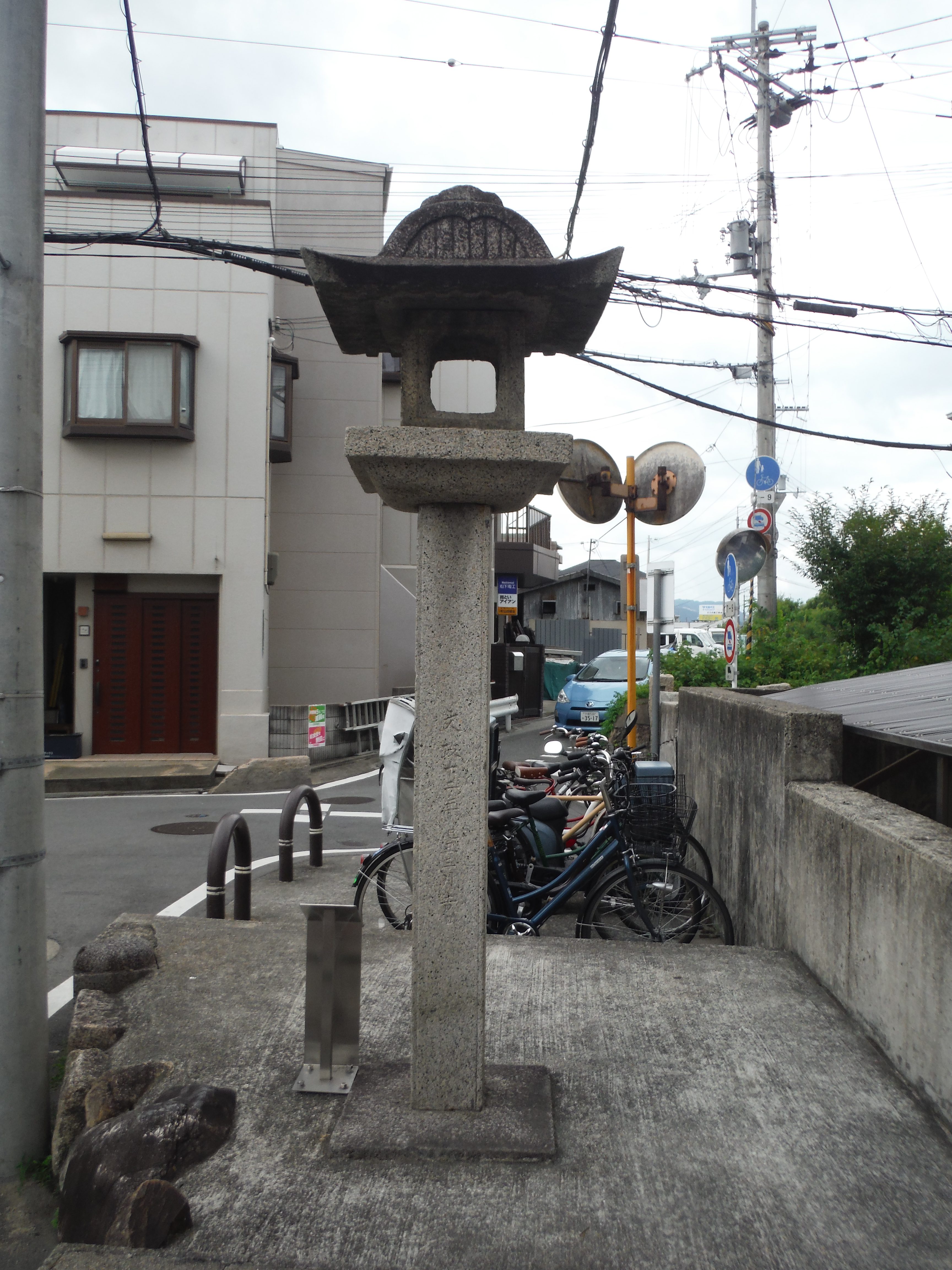 背側