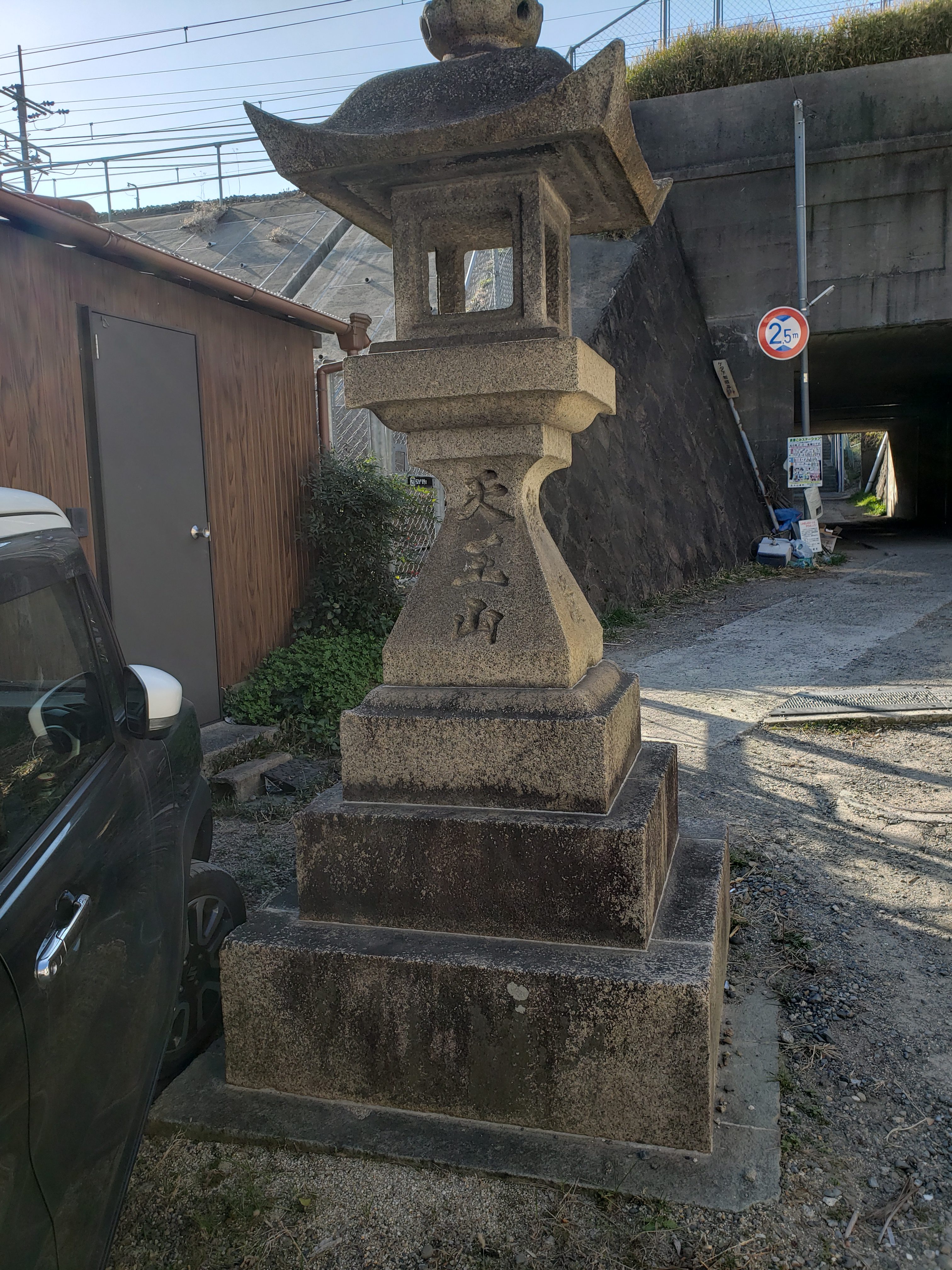 全体