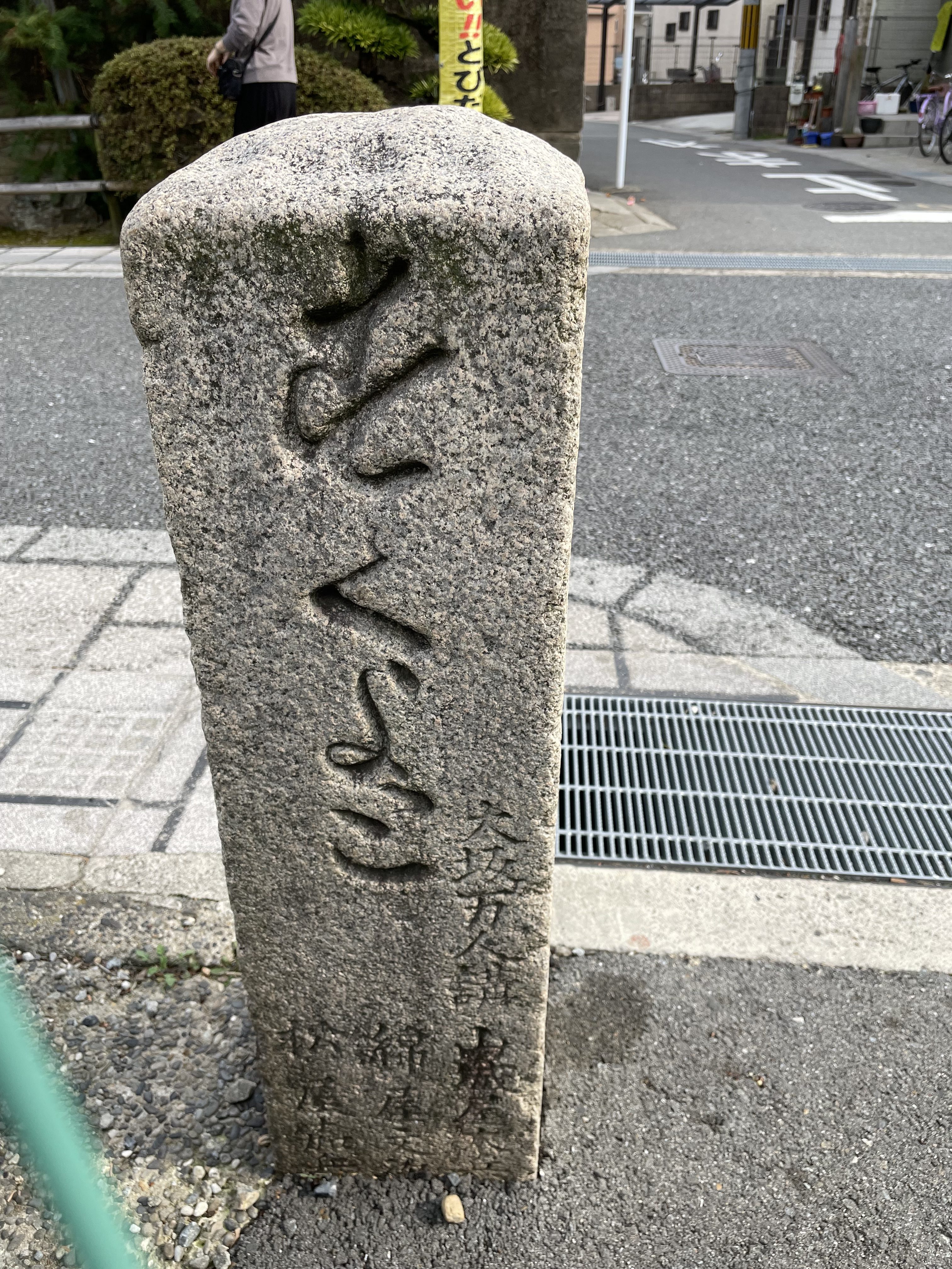 背側