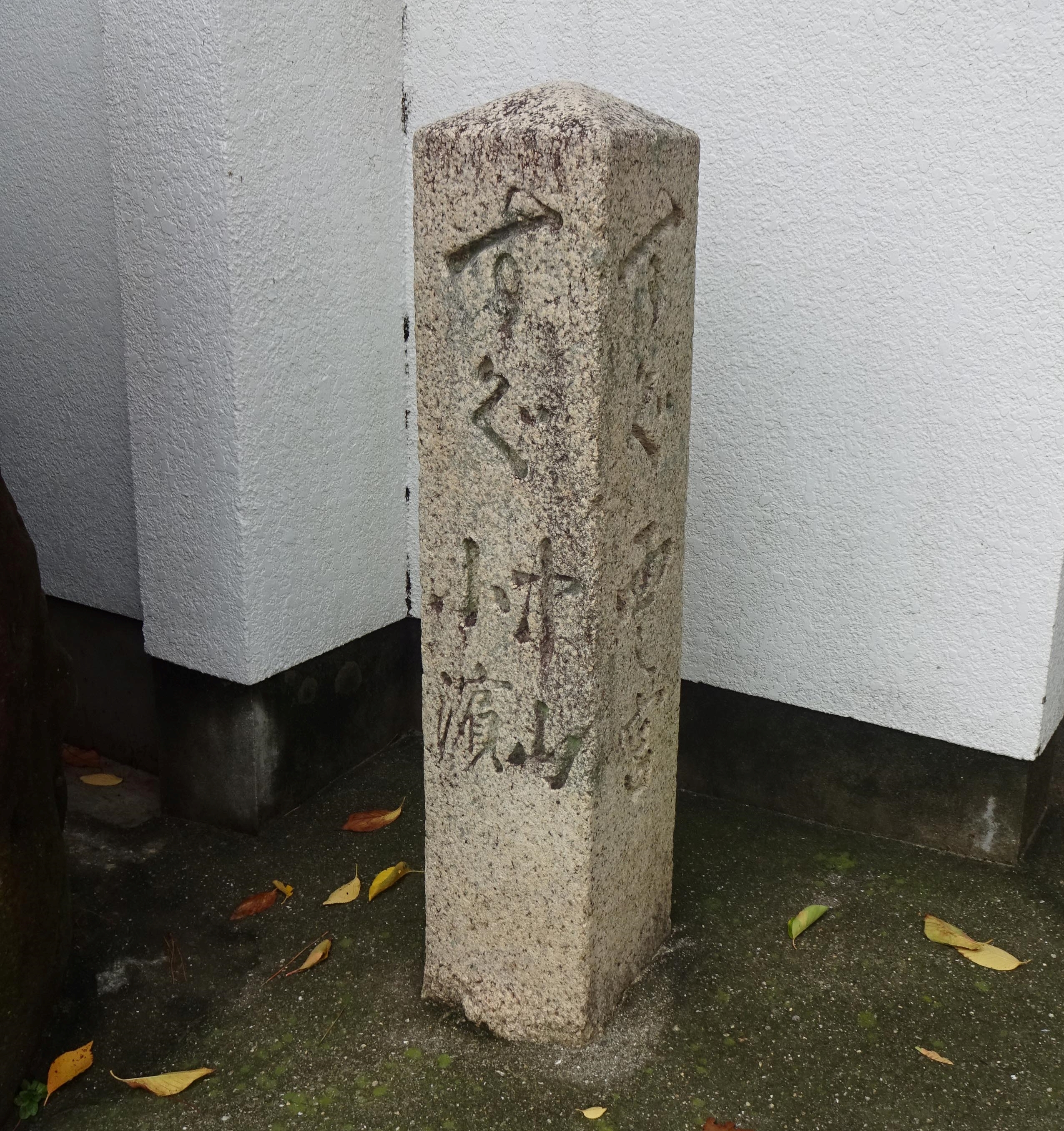 全体
