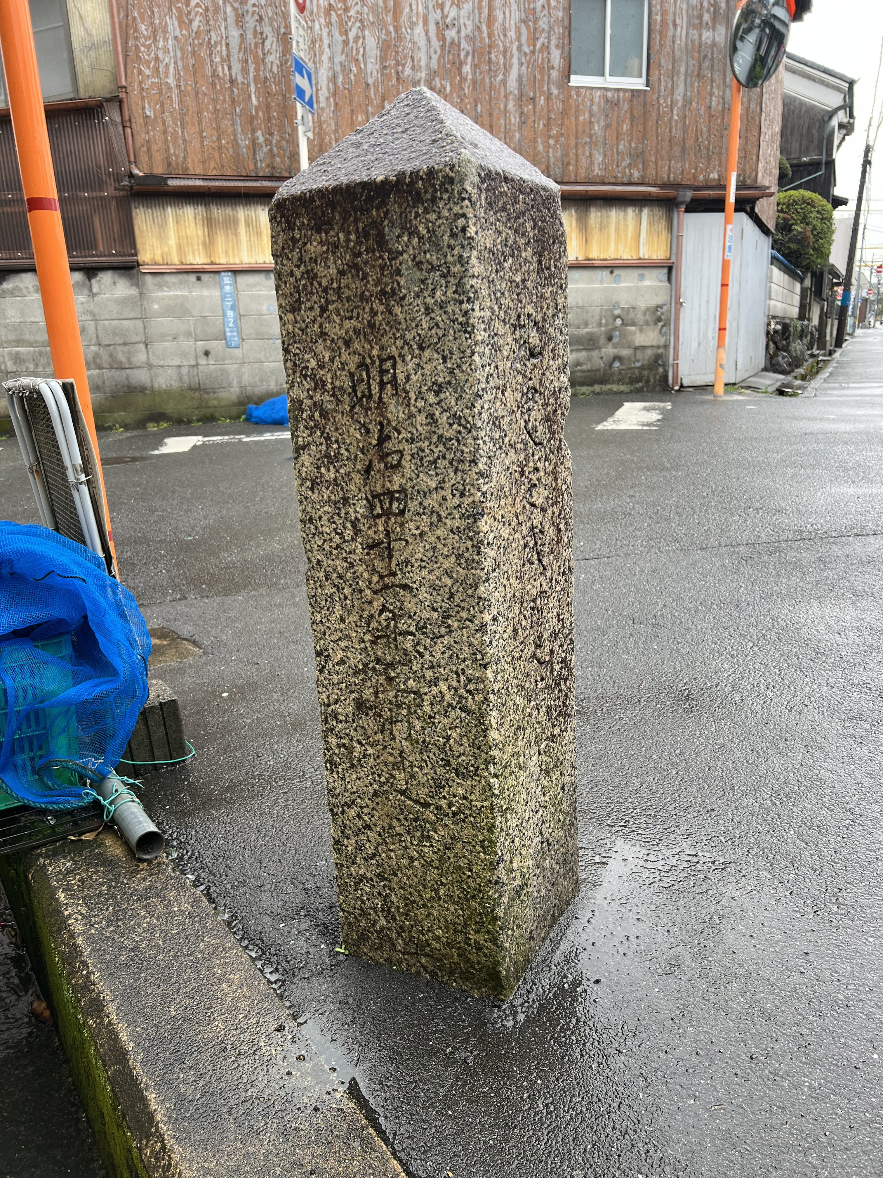 背側