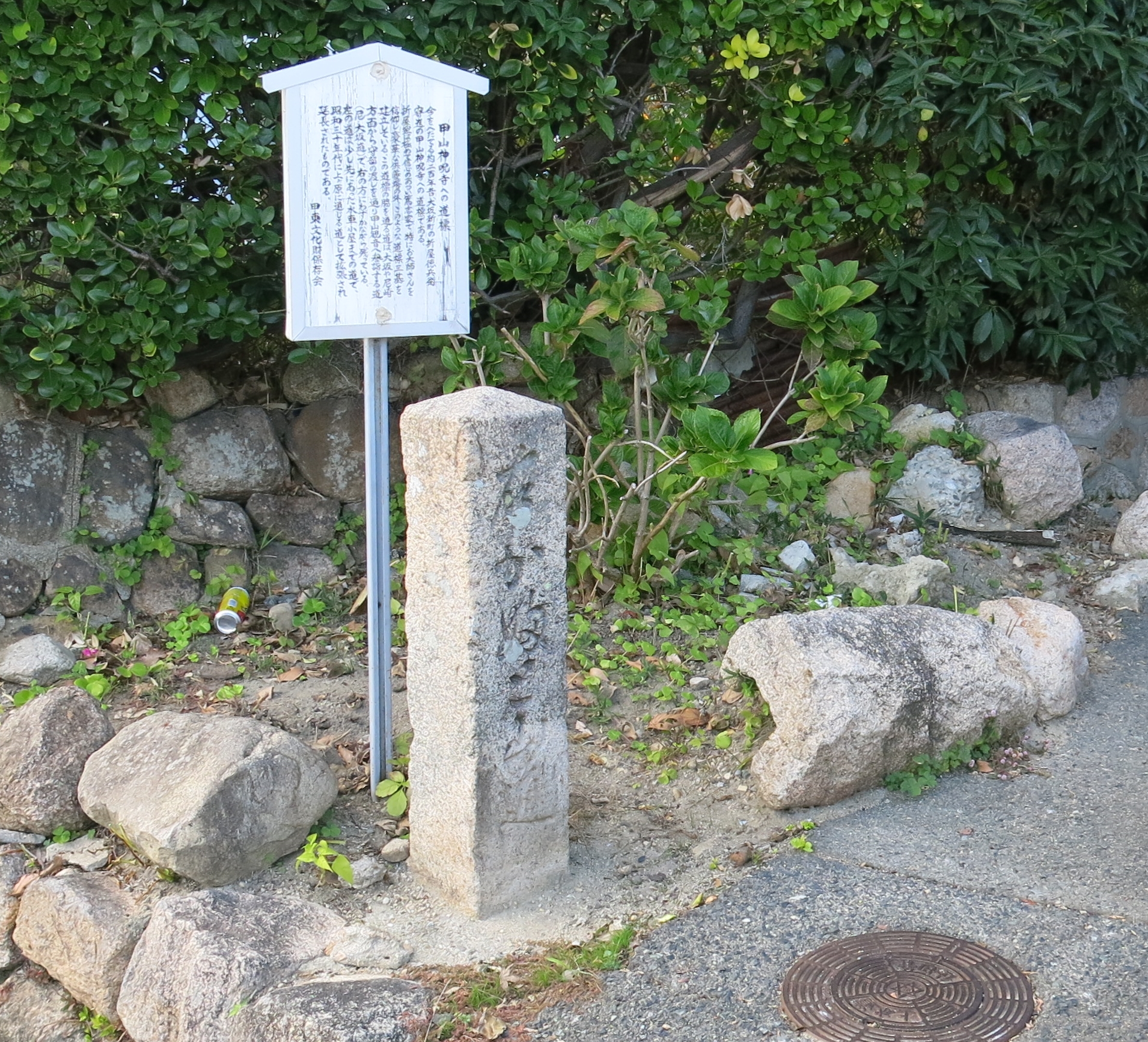 全体