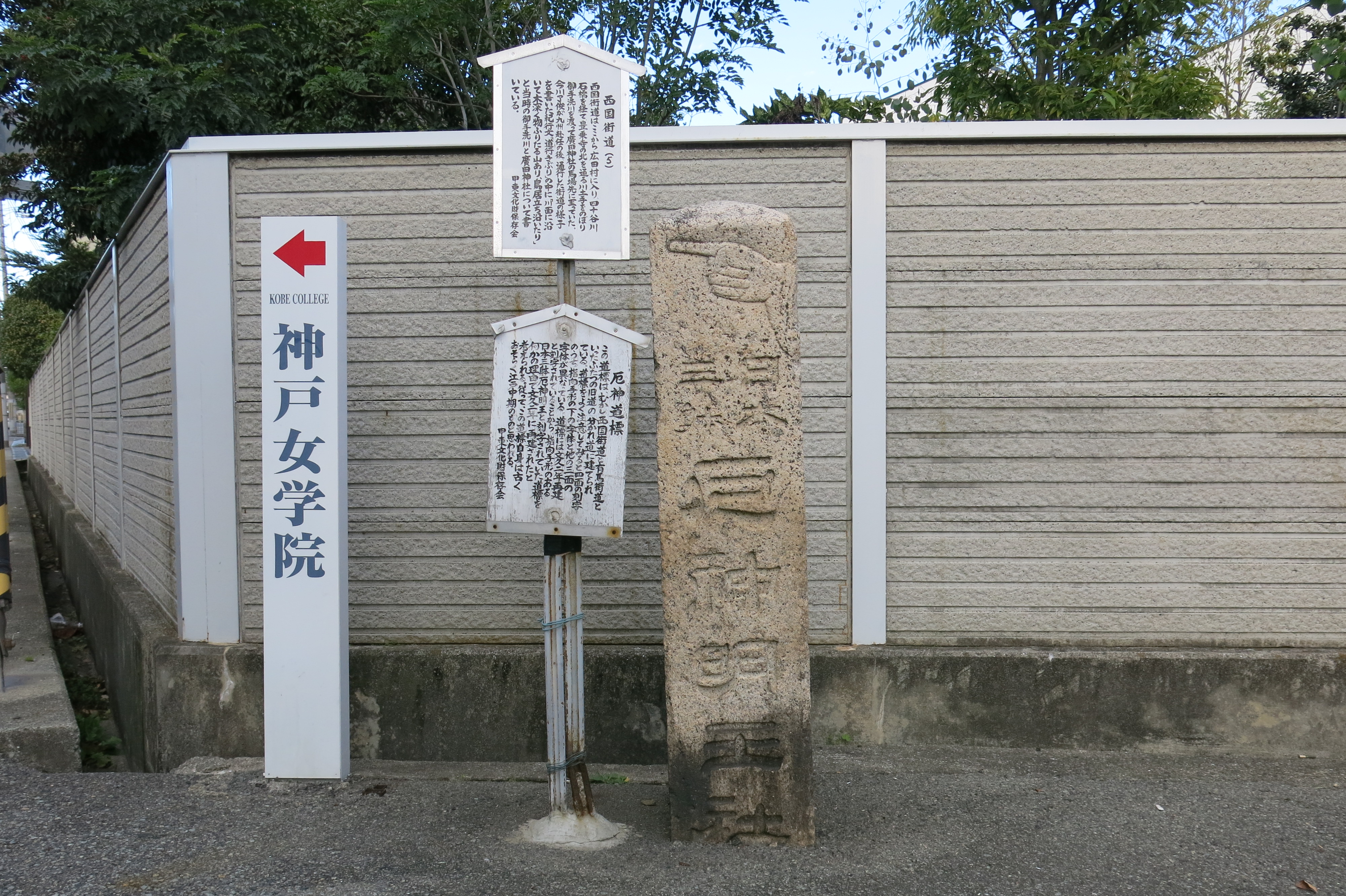 全体