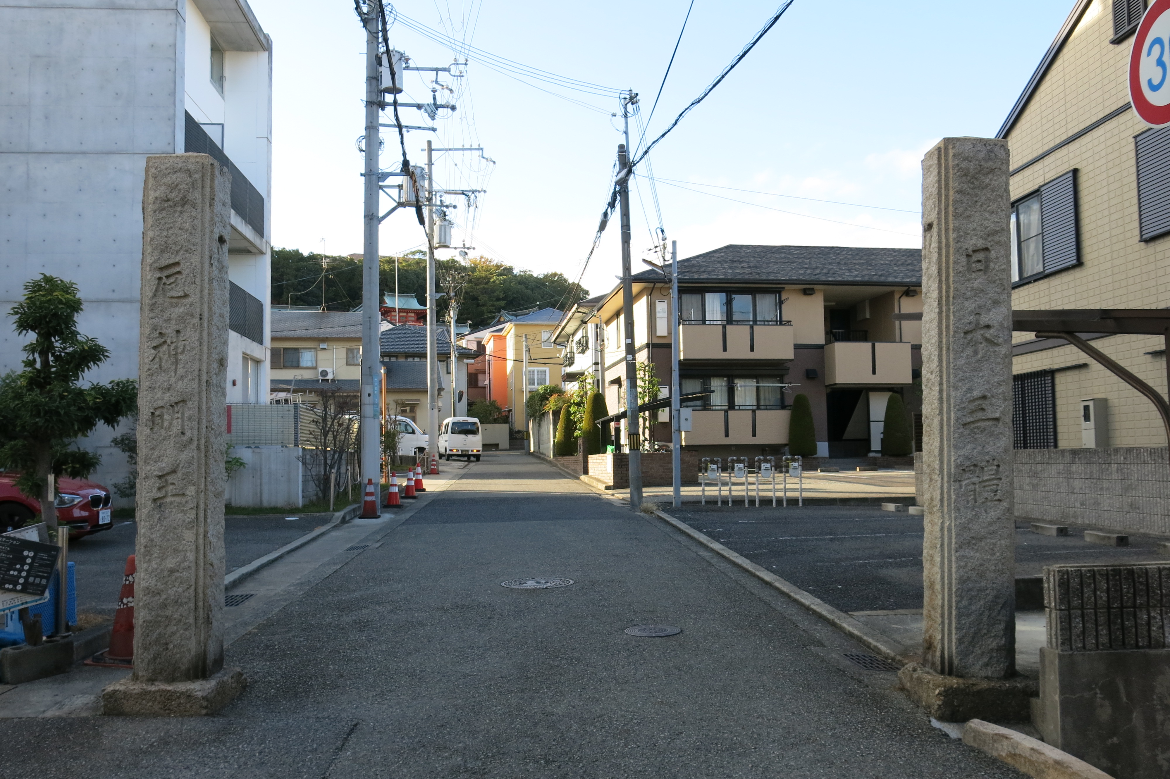 全体