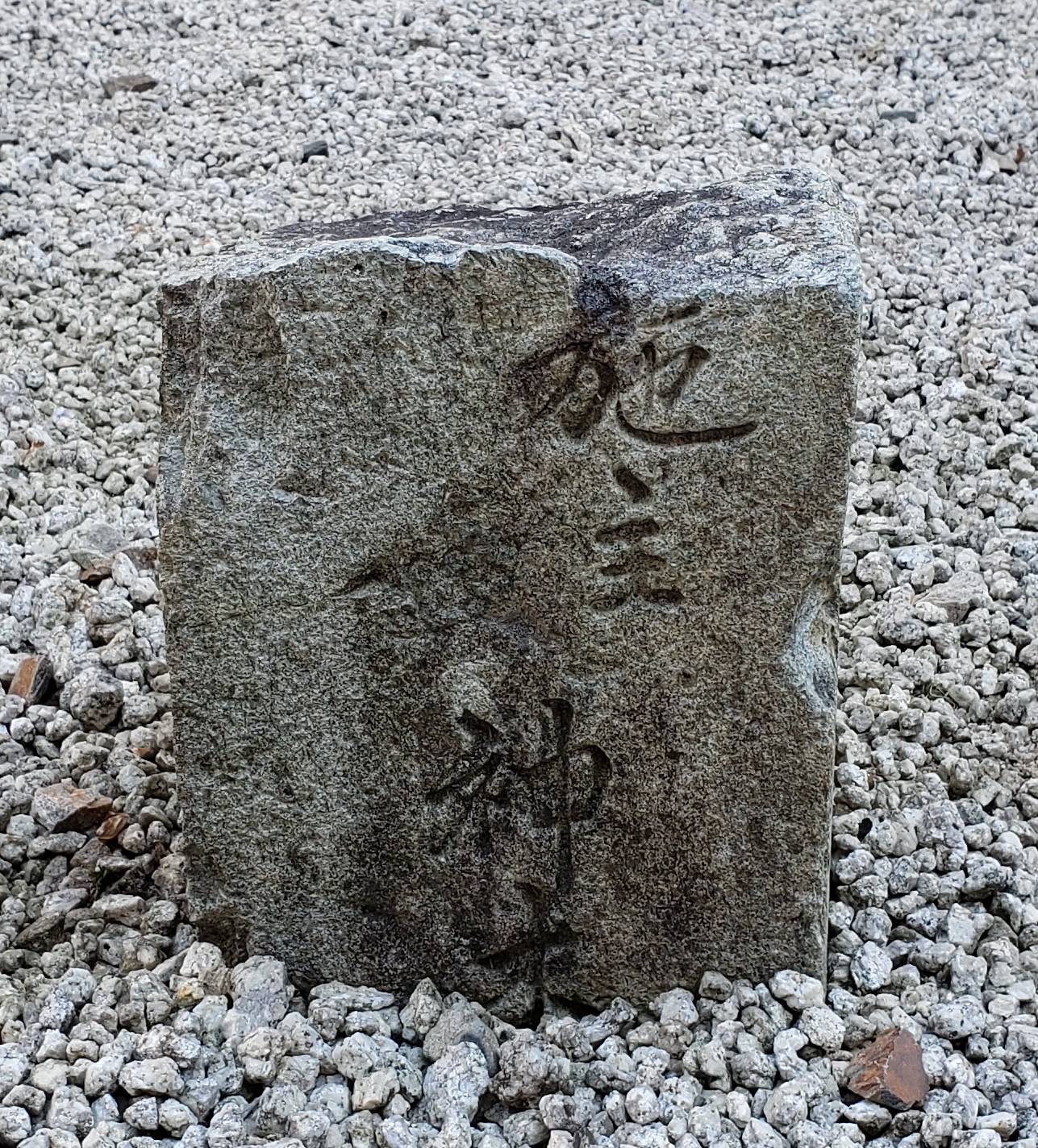 全体