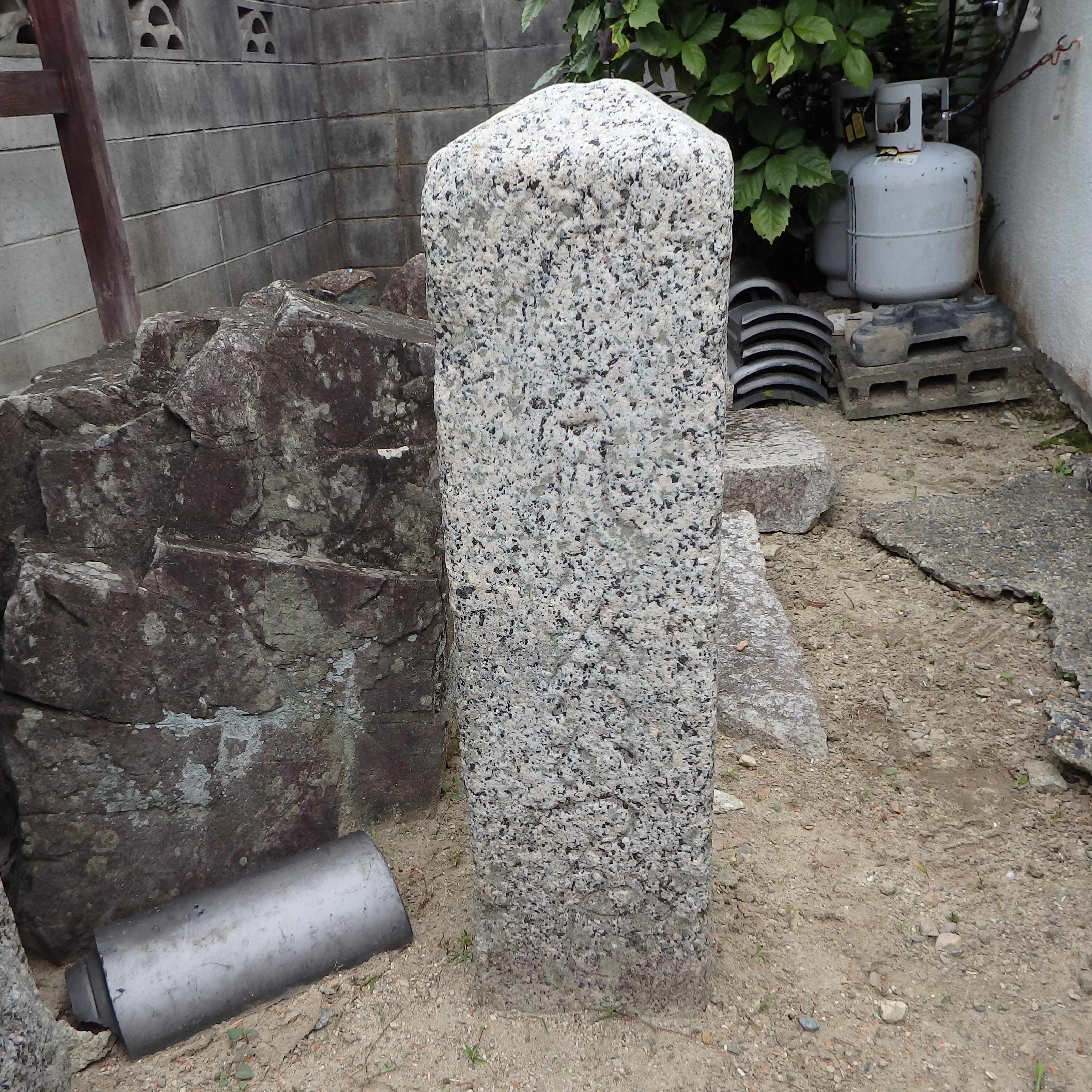 全体