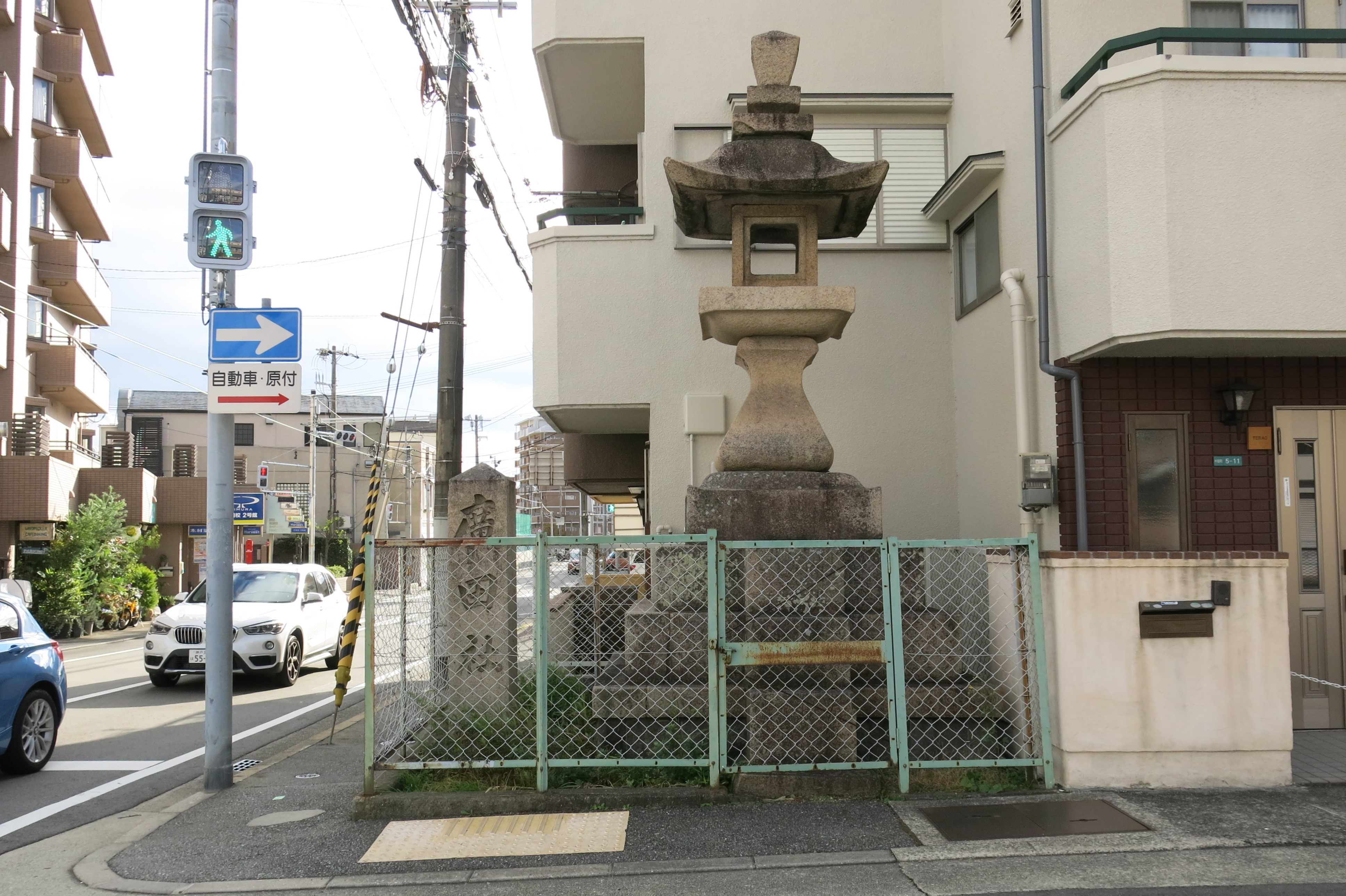 全体