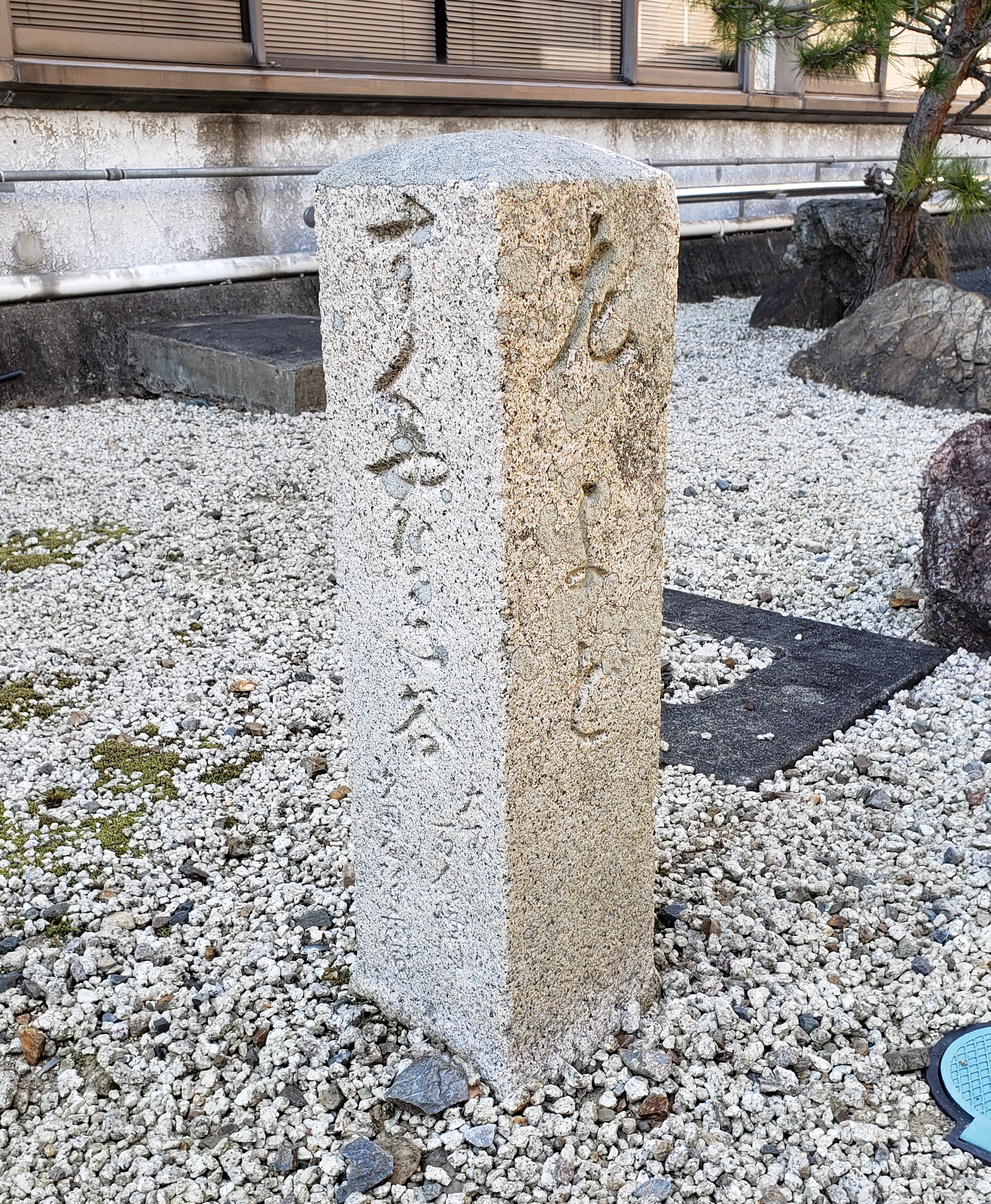 全体