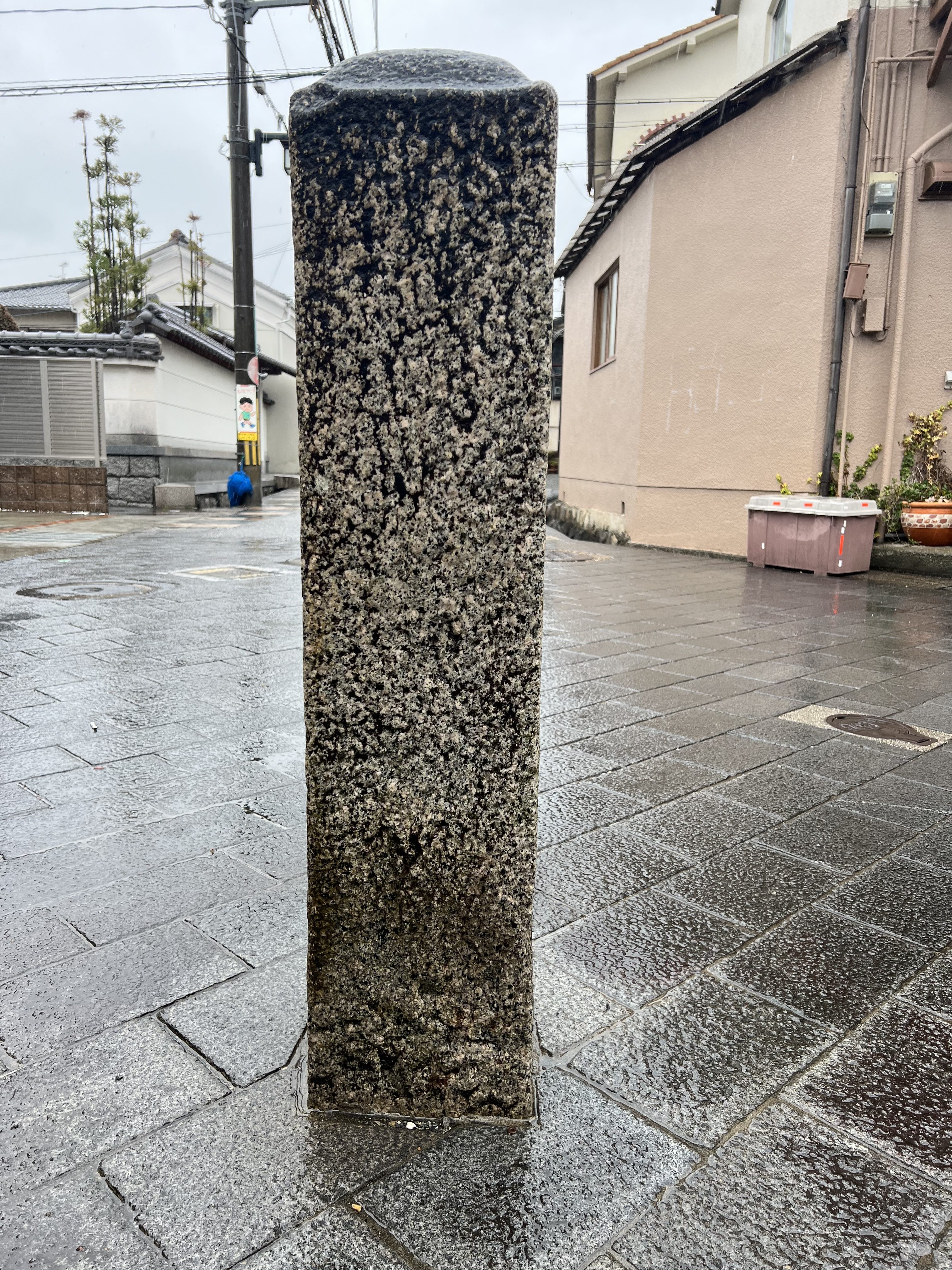 背側