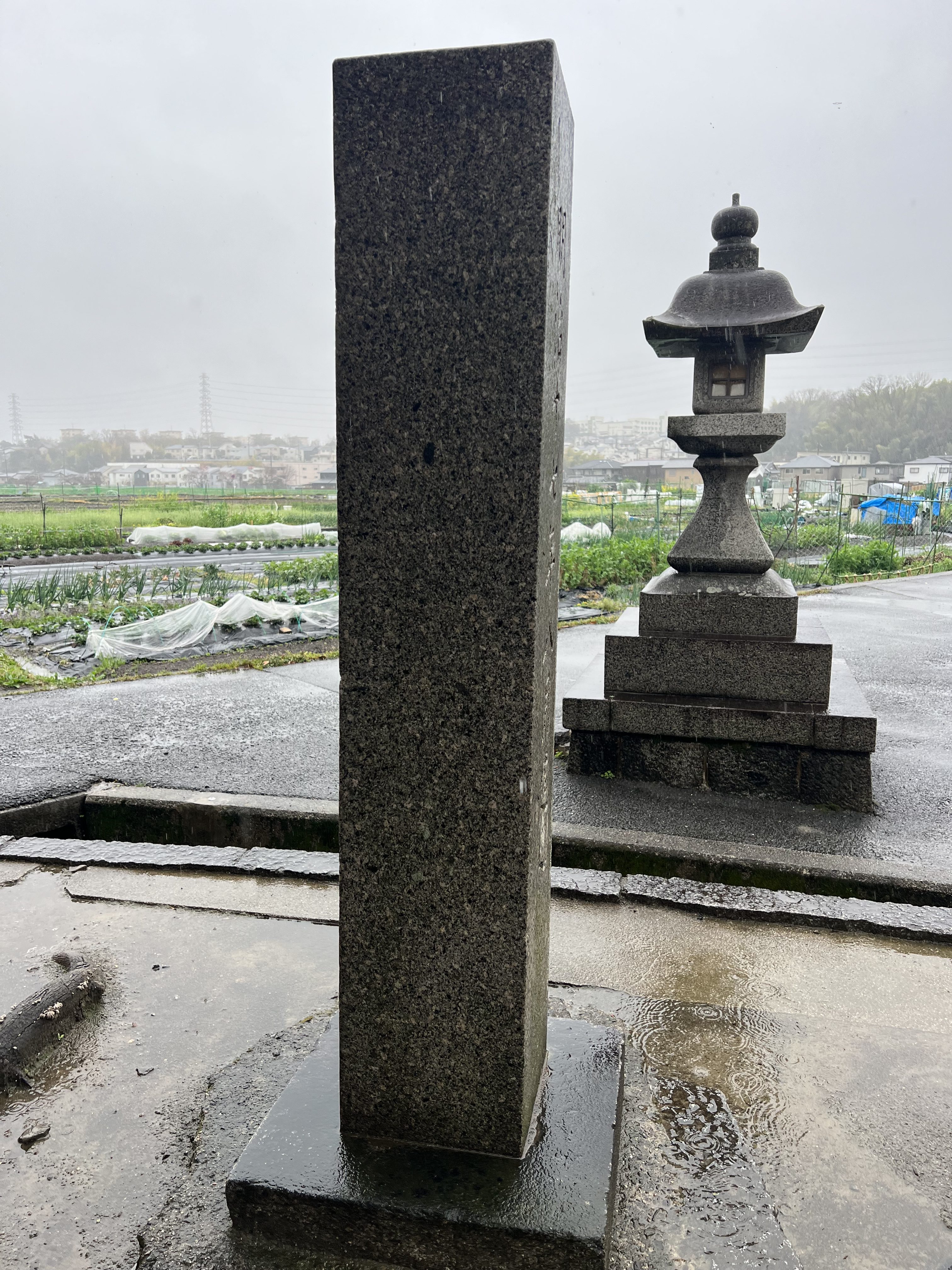 背側