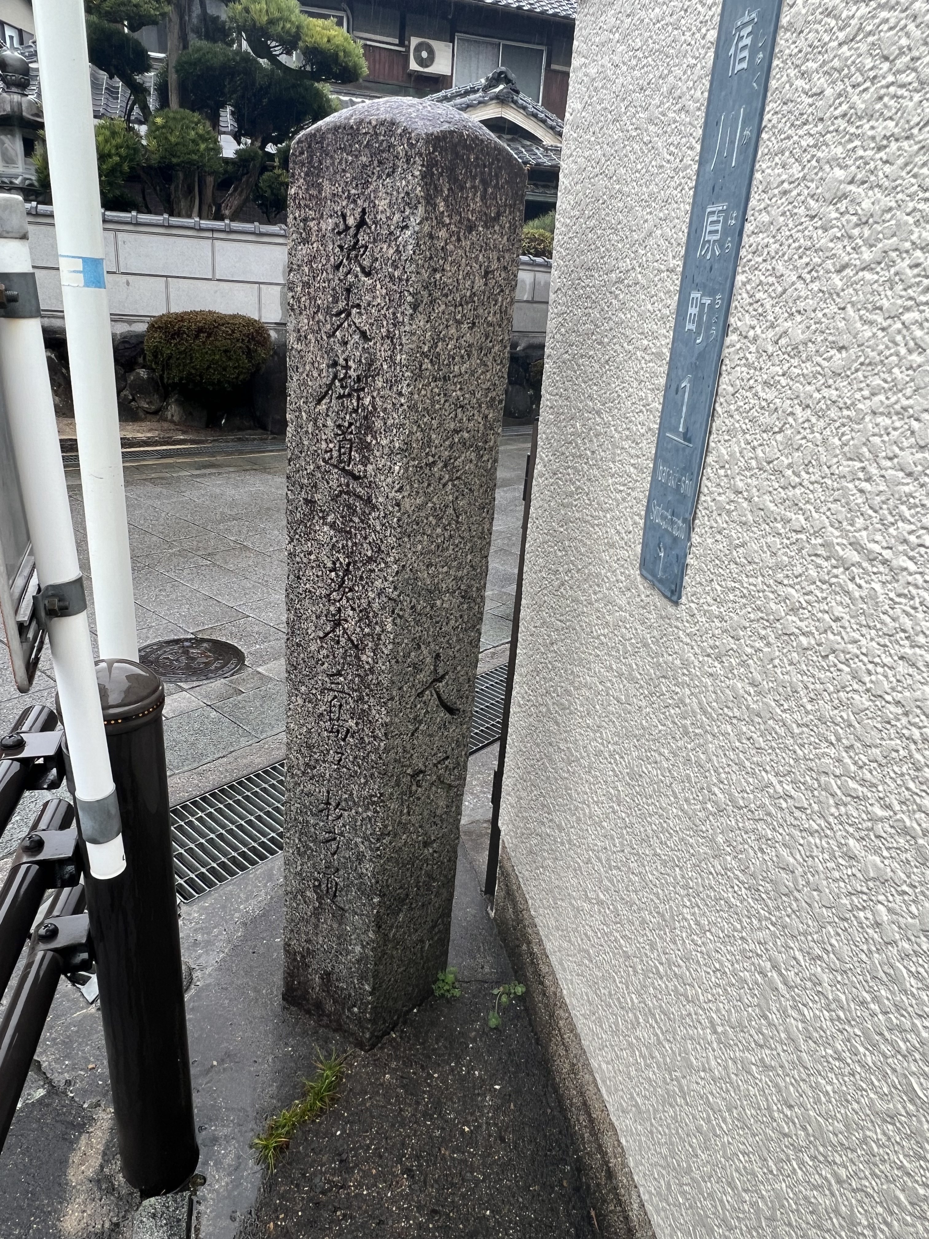 背側