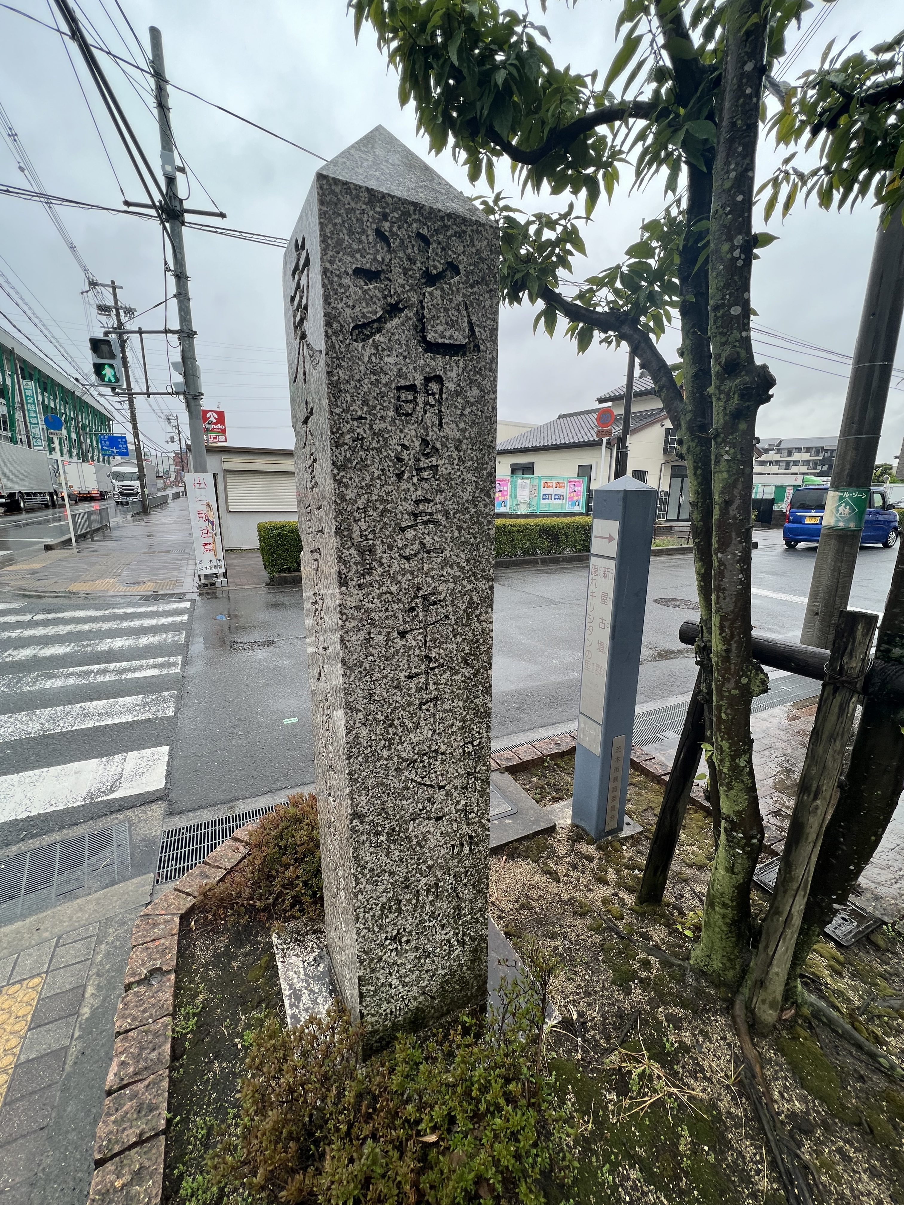 背側