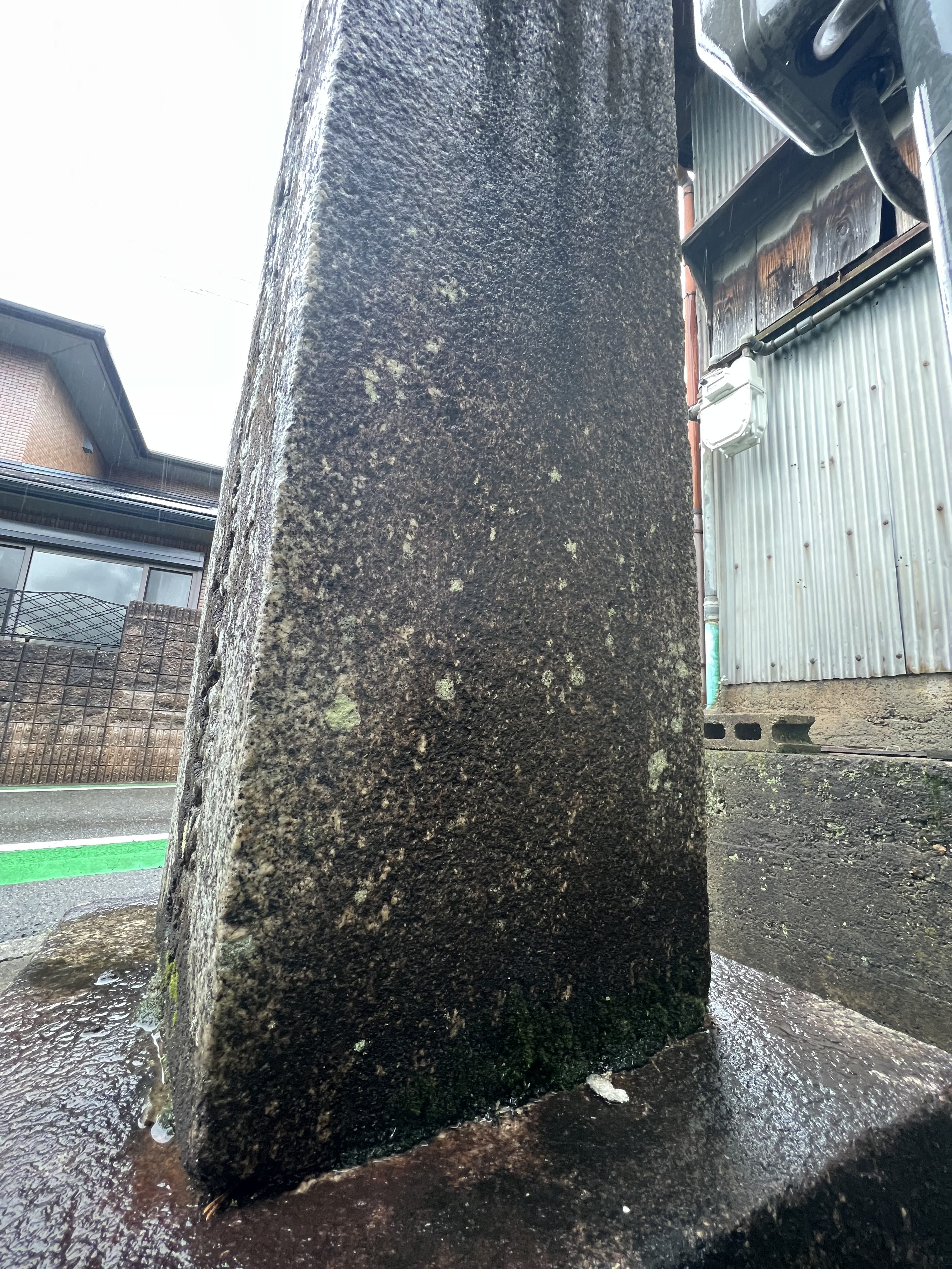 背側