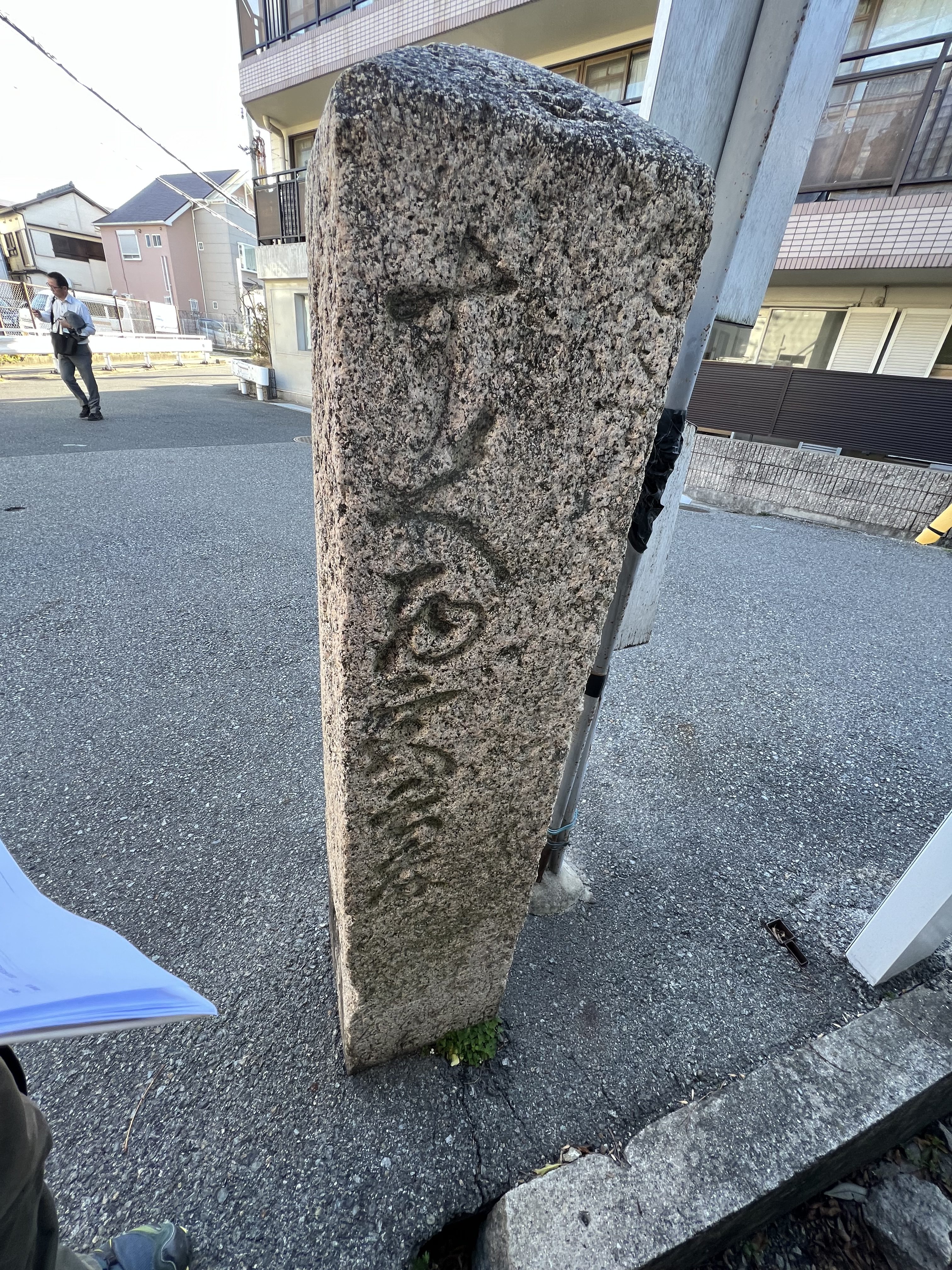 背側