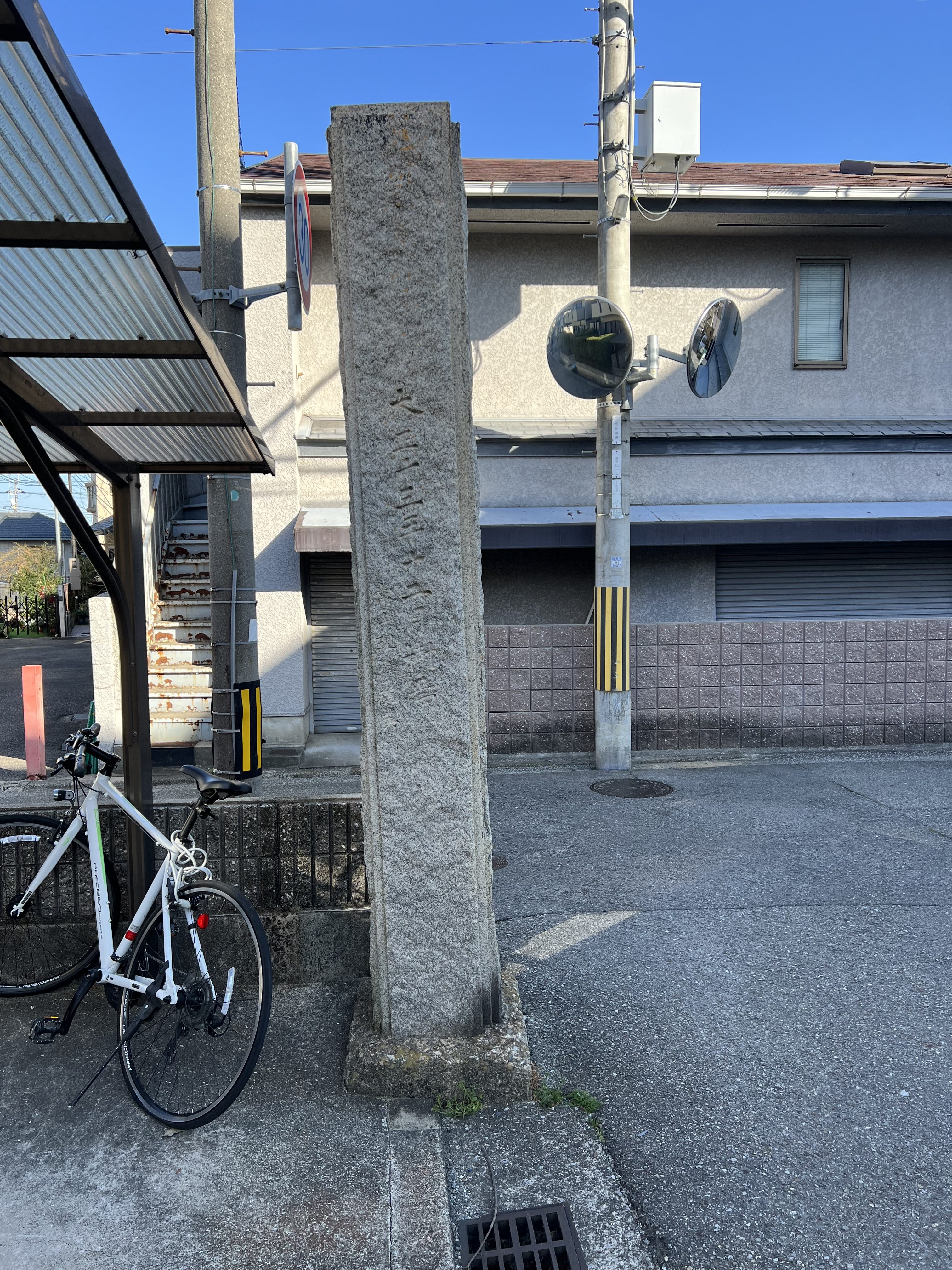 背側