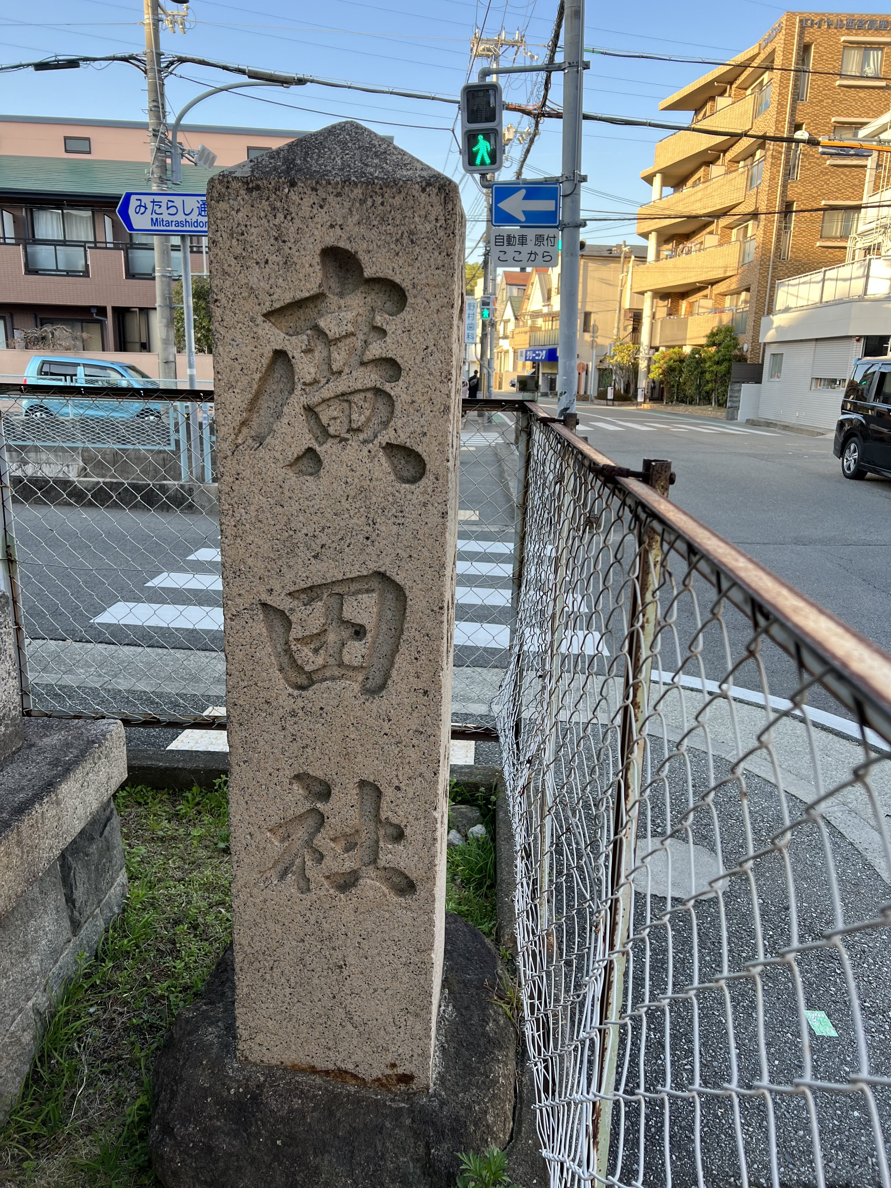 背側