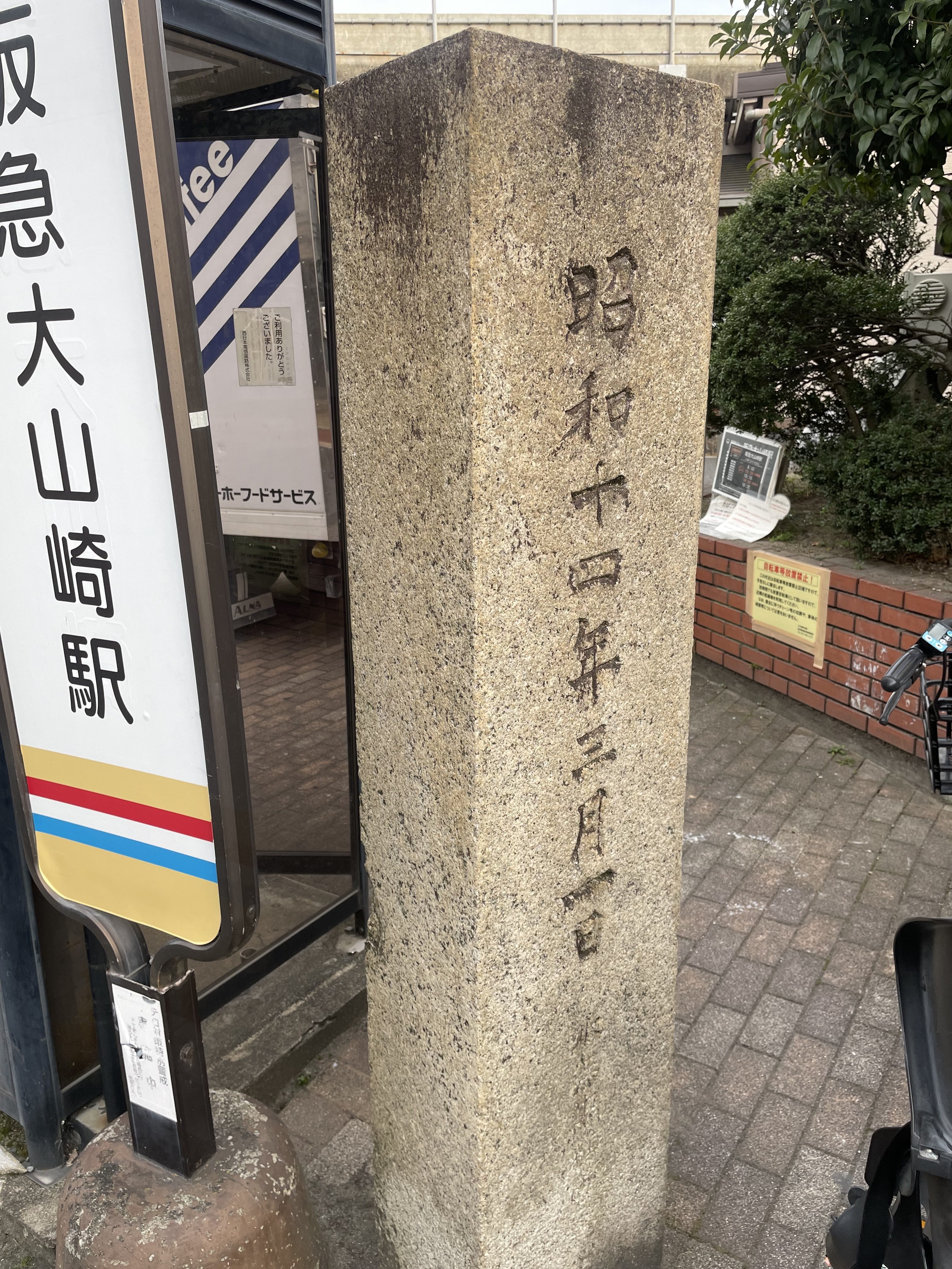 背側