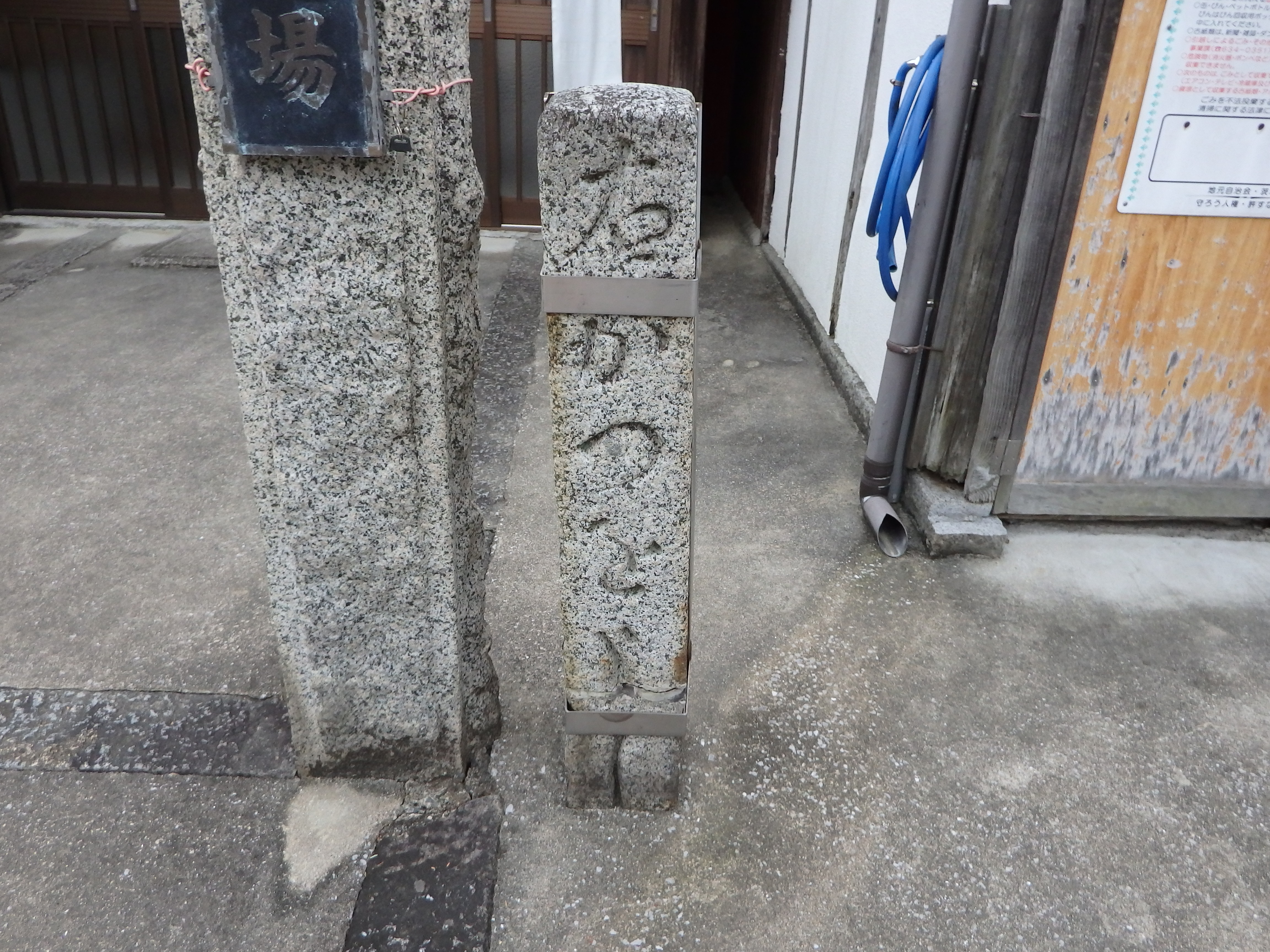 全体