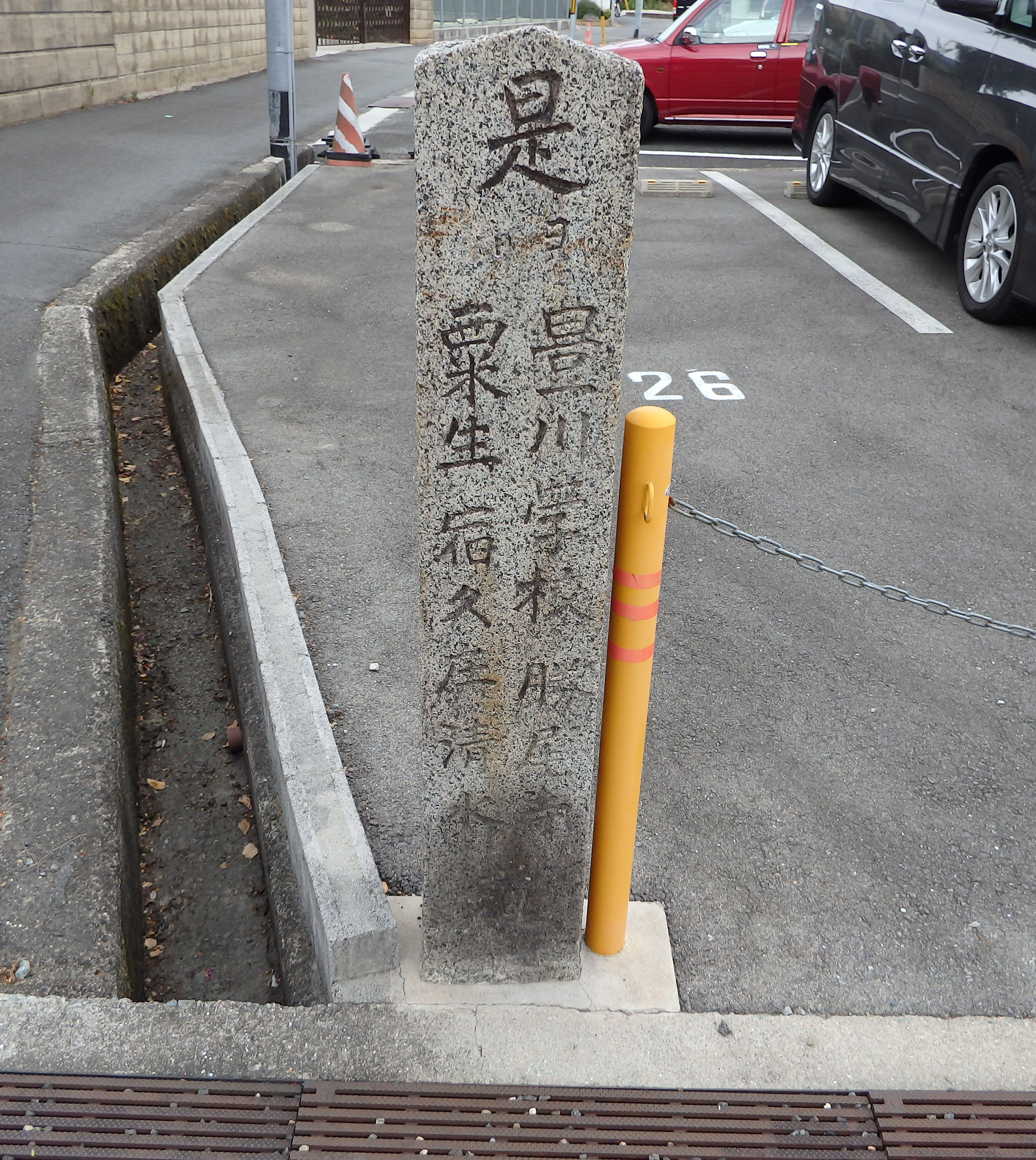全体