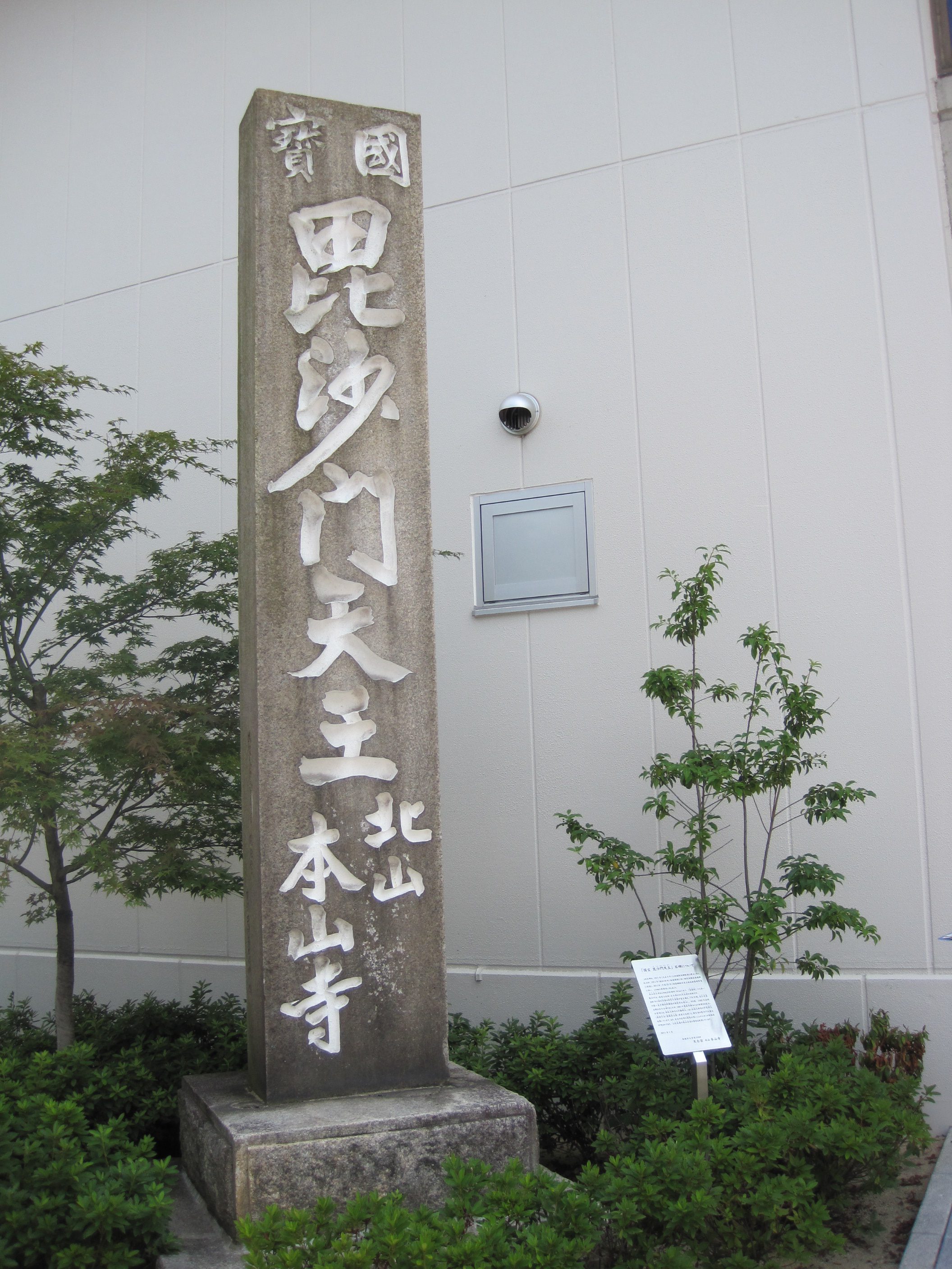 全体