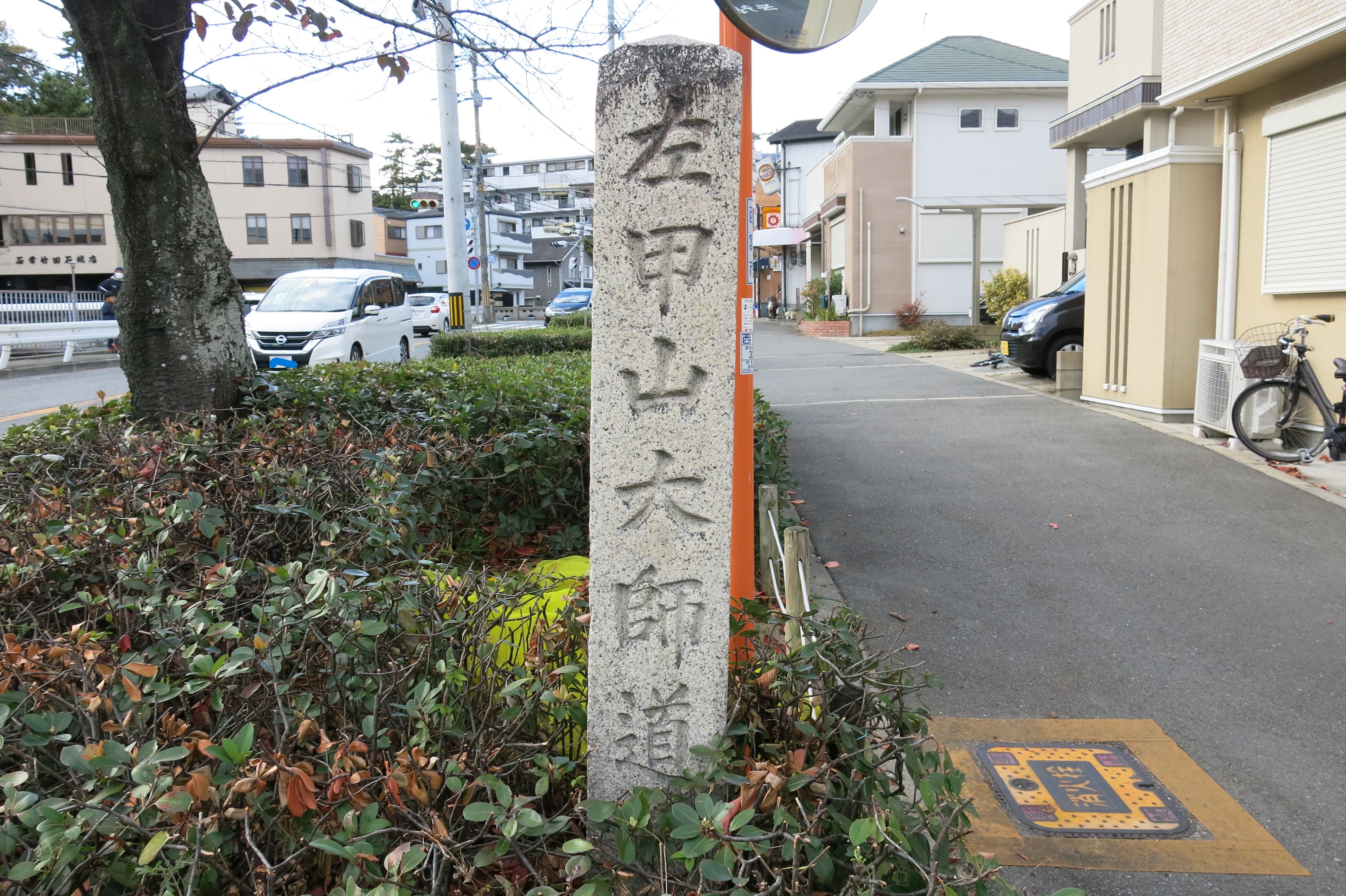 全体