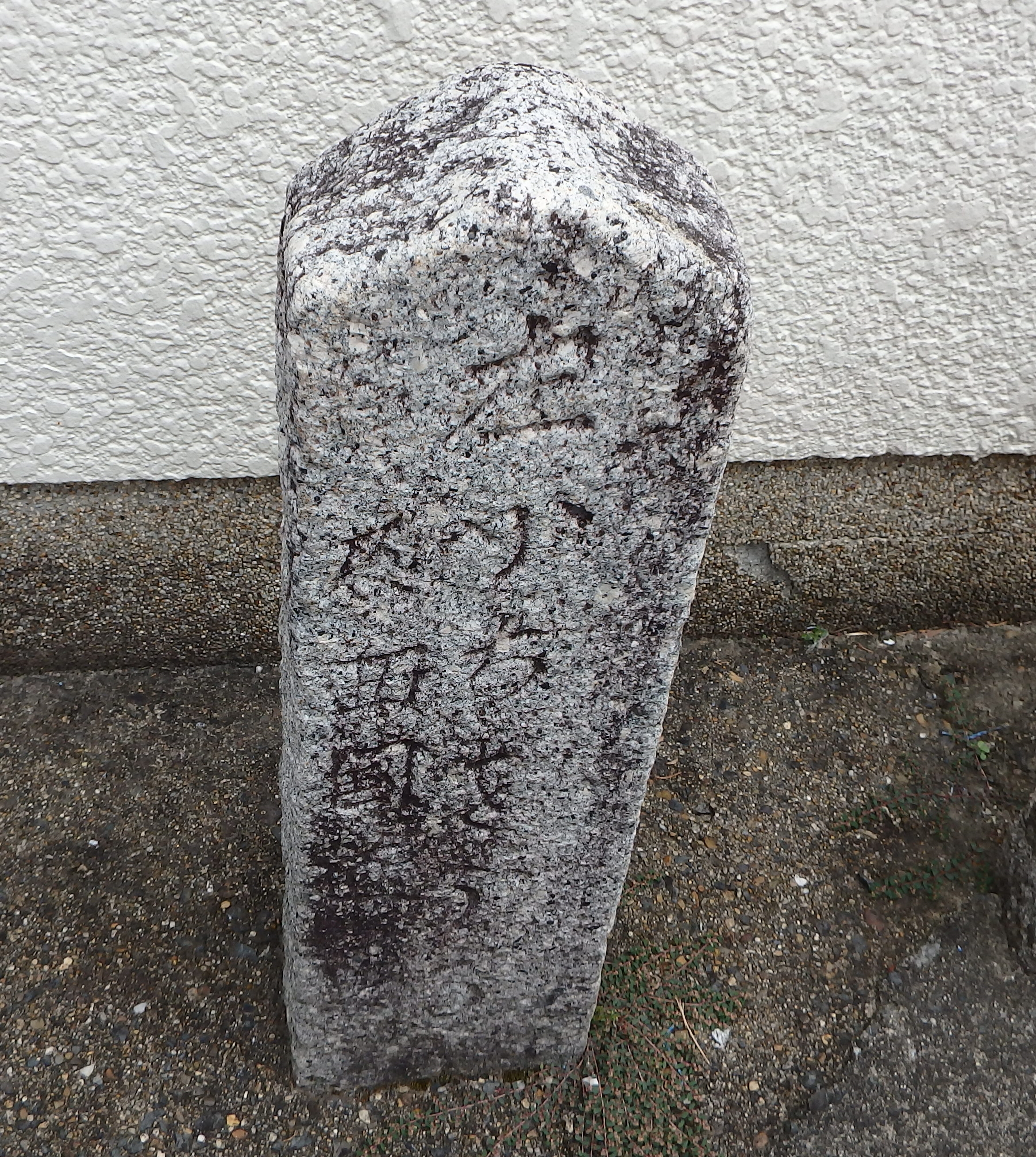 全体