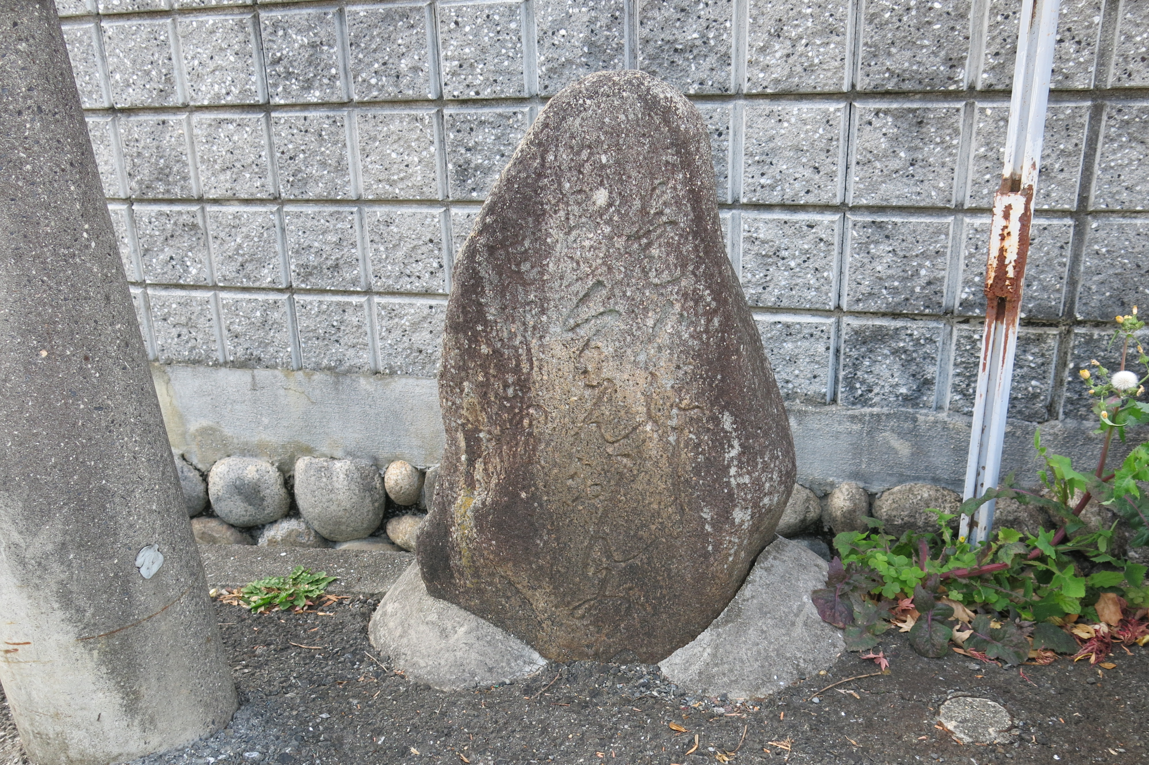 全体