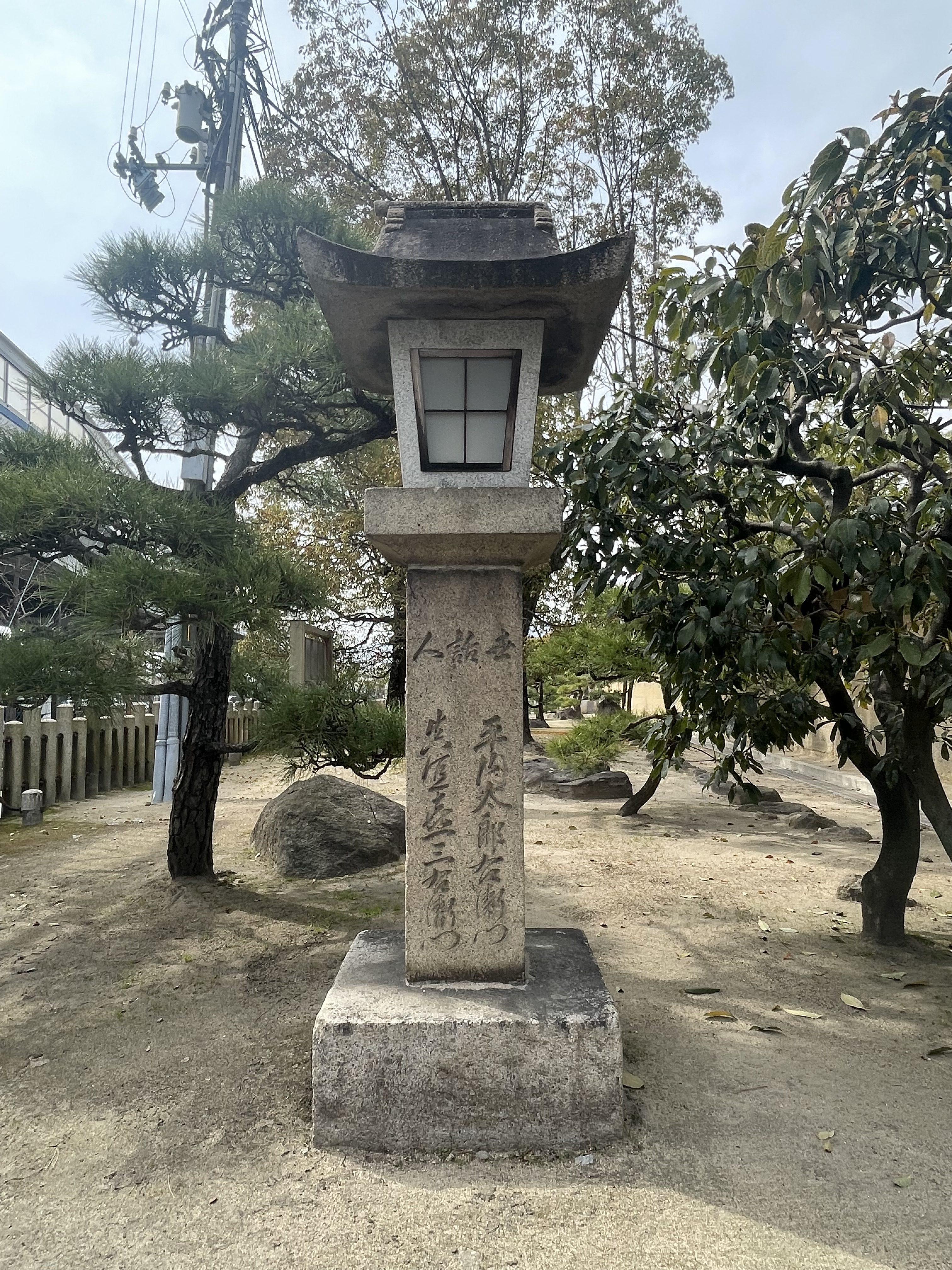 背側