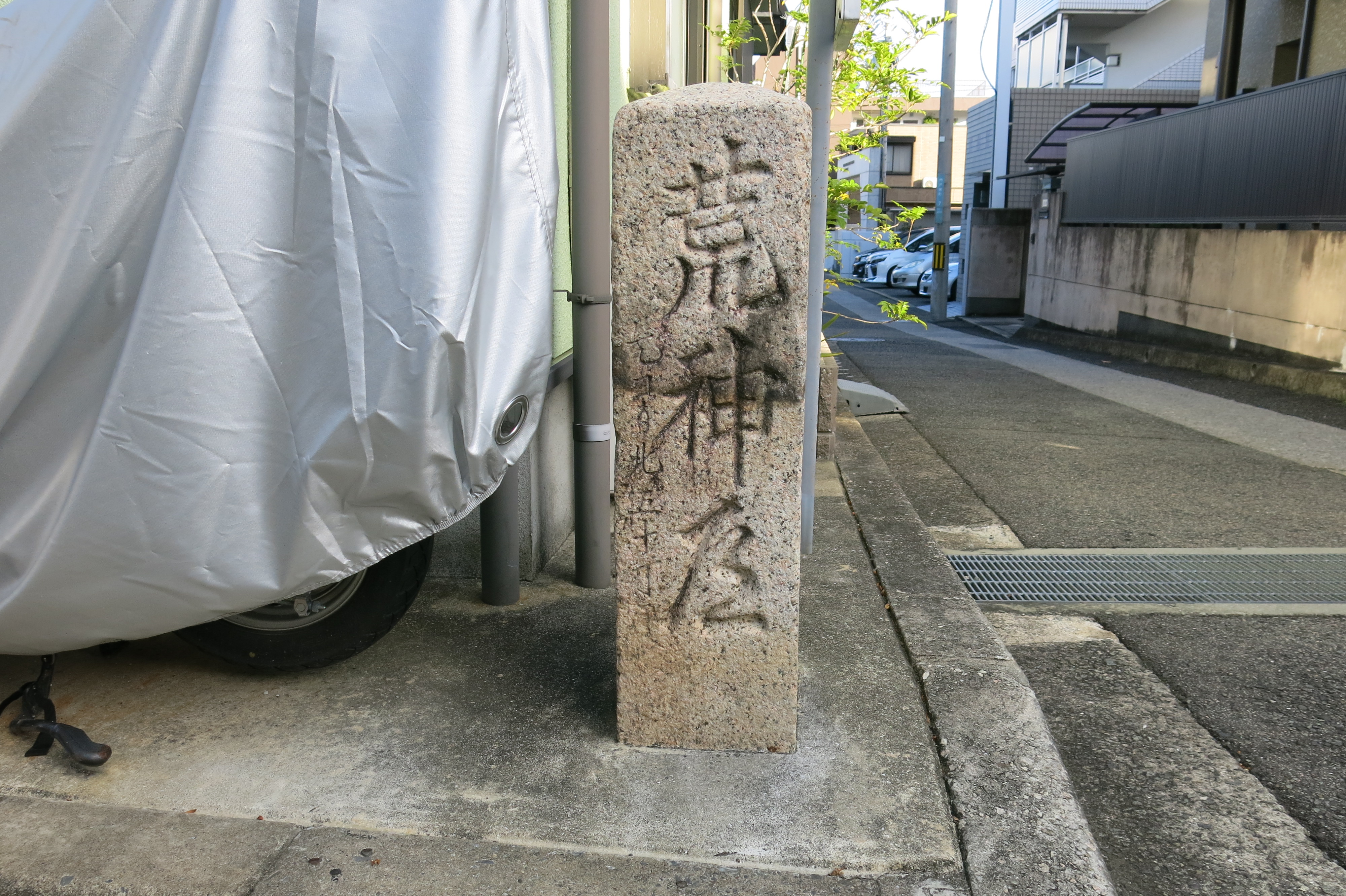 全体