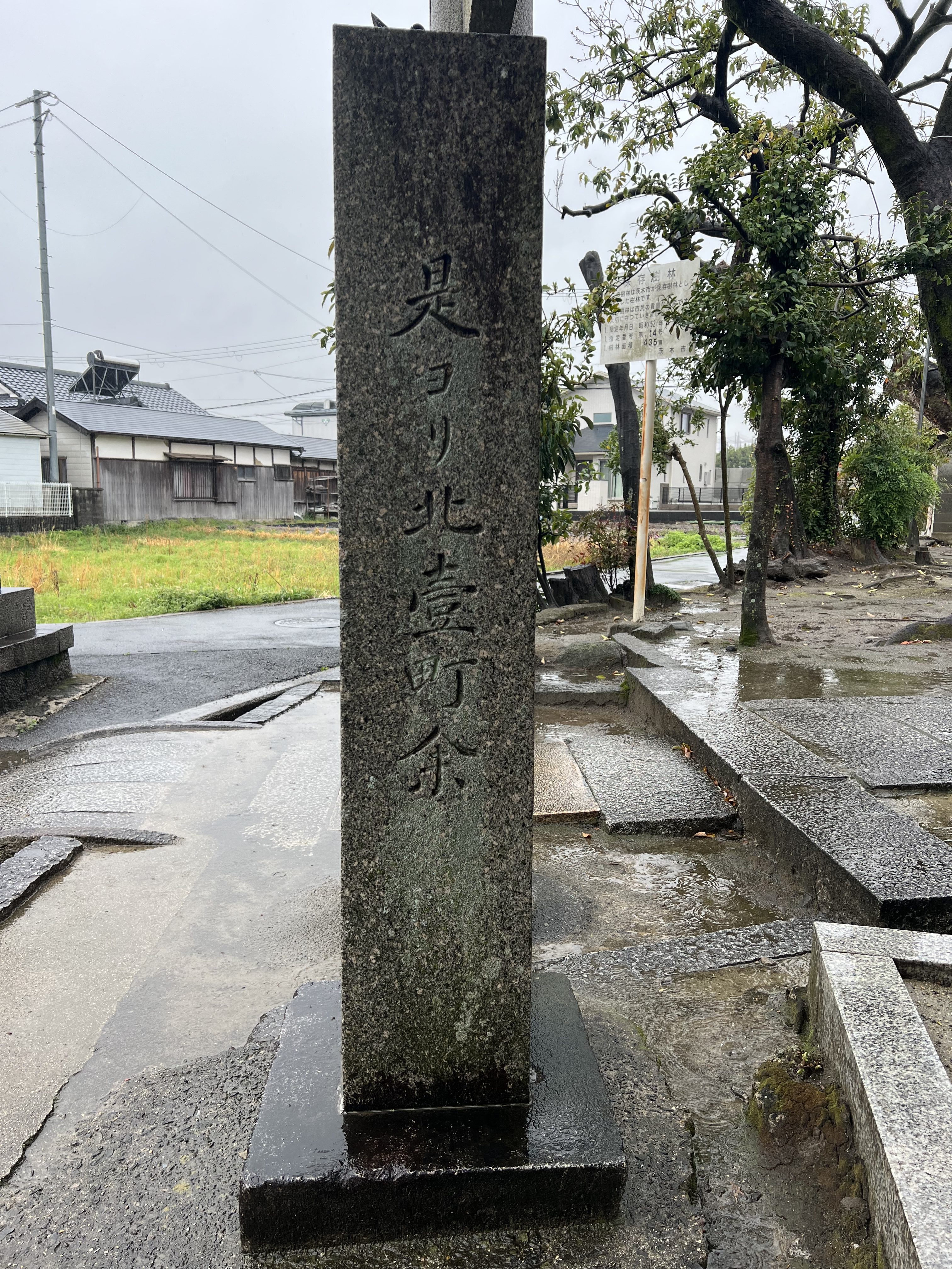 右側