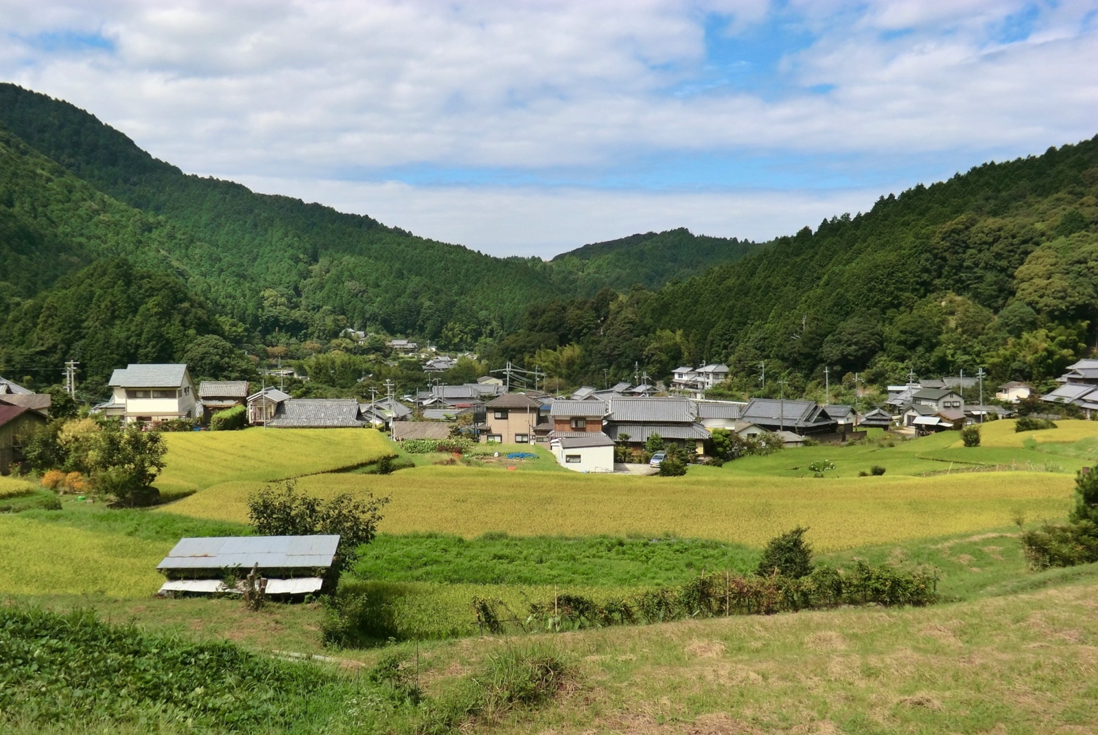 荘園に生きる人々―日根野と泉佐野の歴史〈2〉 (和泉選書) 日根野と泉佐野市の歴史 2 (和泉選書 96) | 小山 靖憲, 平 雅行