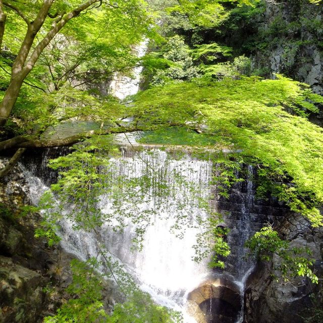 〜神戸・布引の滝〜

布引の滝は神戸六甲山の麓を流れている生田川の中流に位置し雄滝・夫婦滝・鼓滝・雌滝４つの総称です。那智勝浦町の那智滝、栃木県日光市の華厳滝に並び日本三大神滝とされて、日本滝百選に選ばれています✨

200ｍほどの間に連続して流れる様子が白布のように見える為に「布引の滝」と呼ばれるようになりました😊

かつては役小角が開いた滝勝寺の修験道の地でしたが、現在は滝から布引ハーブ園へと至るコースが整備され、散策コースとしても知られています。また主要駅からも比較的近く、気軽に立ち寄る事もできます。

森林浴の森100選に選ばれてる緑豊かな滝で、是非リフレッシュしてください🍀🍀

#布引の滝 #新緑 #神戸観光 #日本滝百選 #森林浴の森100選 #歴史街道 #ハイキング #美しい景色 #日本の絶景