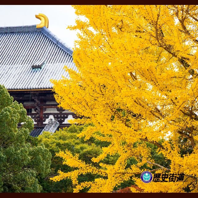 大仏池の銀杏

関西観光名所の一つ「奈良公園」。
秋になると東大寺裏手の大仏池周辺は黄色の銀杏が一面に広がります。風が吹いて葉が舞い落ちてくると黄色のカーペットをひいたかのような光景をお楽しみいただけます😊‼️

大仏殿周辺には国の名勝に指定されている依水園や、お水取りで有名な二月堂、国宝の法華堂や春日大社、池に移りこむ大仏殿が美しい鏡池など
様々なスポットがございますので
合わせてお楽しみください♪😃

#奈良公園 #大仏池 #銀杏 #東大寺 #東大寺二月堂 #大仏池の大銀杏 #奈良県景観資産 #奈良県 #歴史街道 #日本の風景