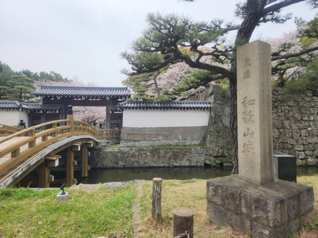 和歌山県和歌山市にある和歌山城は「日本名城100選」にも選定されています。
天正13年（1585）に紀州を平定した豊臣秀吉が弟の秀長に築城させたのが始まりで、その築城を担当したのが、築城の名人藤堂高虎でした。
現在は、約450本の桜が咲き誇る和歌山城公園は和歌山市が誇る桜の名所で、期間中はボンボリや提灯約がライトアップされます。
＃和歌山県
＃和歌山市
＃和歌山城
＃城
＃日本名城
＃桜
＃さくら
＃花見
＃桜の名所