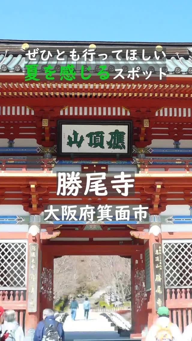 夏の箕面で、「勝ち運」を手に入れる寺旅へ🌿

📍勝尾寺（かつおうじ）
住所：大阪府箕面市粟生間谷２９１４−１

約1300年の歴史を持つ、勝運祈願の名刹・勝尾寺。
その名の由来は、平安時代、清和天皇の病を祈祷で癒やしたことから。
「王に勝った寺」として「勝王寺」と名付けられたのが始まりです。

以来、人生のあらゆる場面で“勝つ”ことができる寺として、
歴代の将軍や武将たちが勝運を祈り、参拝を重ねてきました。

転んでも何度でも起き上がる――
不屈の精神を持つ「勝ちダルマ」は、自分自身の象徴。
困難に立ち向かい、「己に勝つ！」と誓いを立てて。

この夏、自分と向き合う時間を、勝尾寺で。


#大阪観光
#箕面市
#勝尾寺
#勝運
#勝ちダルマ
#パワースポット
#夏の寺旅
#歴史街道