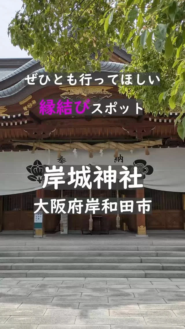 📍大阪府岸和田市｜岸城神社
🎐縁を結ぶ「千亀利のお宮」
住所：〒596-0073 大阪府岸和田市岸城町１１−３０

「縁結びの神さま」として知られる岸城神社。
その由来は、岸和田城がかつて「千亀利城（ちきりじょう）」と呼ばれ、
その形が「ちきり（機のたて糸を巻く器具）」に似ていたことから。

神社はその千亀利城の鎮守として親しまれ、
“ちきりの神＝縁を結ぶ神”として信仰を集めてきました。

もとは南北朝時代に京都・八坂神社の御祭神を勧請し、
のちに小出秀政により八幡大神が合祀され、現在の姿に。

だんじりが宮入するだんじり祭では、
こなから坂を駆け上がる姿が圧巻！

歴史と想いが重なるこの地で、
あなたも新たな「ご縁」と出会えるかも。

💠恋愛・結婚・人との絆を願って
💠岸和田の城下で、縁を結ぶ夏のひととき

#大阪観光
#岸和田市
#岸城神社 
#大阪神社めぐり
#岸和田観光 
#だんじり祭り 
#縁結びスポット 
#歴史街道