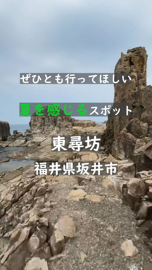 📍東尋坊

📍福井県坂井市三国町安島６４−１

日本海の青と空が溶け合う夏の東尋坊。
断崖に打ち寄せる波の音と、肌を撫でる潮風が、体と心を目覚めさせてくれる。
柱状節理の岩肌が陽射しに輝き、まるで地球の鼓動を感じるよう。
この場所に立つと、時間がゆっくり流れていくのがわかる。
夏こそ訪れたい、命のエネルギーが満ちる断崖へ。

#東尋坊 
#福井県
#福井観光 
#夏旅 
#日本の絶景 
#断崖絶壁 
#福井の夏 
#歴史街道
