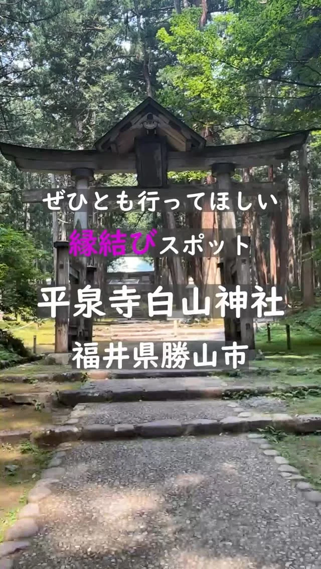 📍平泉寺白山神社

📍福井県勝山市平泉寺町平泉寺56-63

1300年の時を超えて、苔むす石畳が導くご縁の道。
白山の麓にたたずむ静謐な社には、自然と人を結ぶ不思議な力が宿ります。
夫婦の縁、家族の絆、そして“今”を生きる誰かとのつながり。
夏のやわらかな光と緑に包まれて、心を澄ませるひとときを。

#福井県
#勝山市
#平泉寺白山神社
#福井観光
#縁結びスポット
#苔寺
#歴史ある風景
#歴史街道