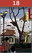 “Blossom Road,” Takarazuka, Hyogo