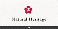 Natural Heritage 